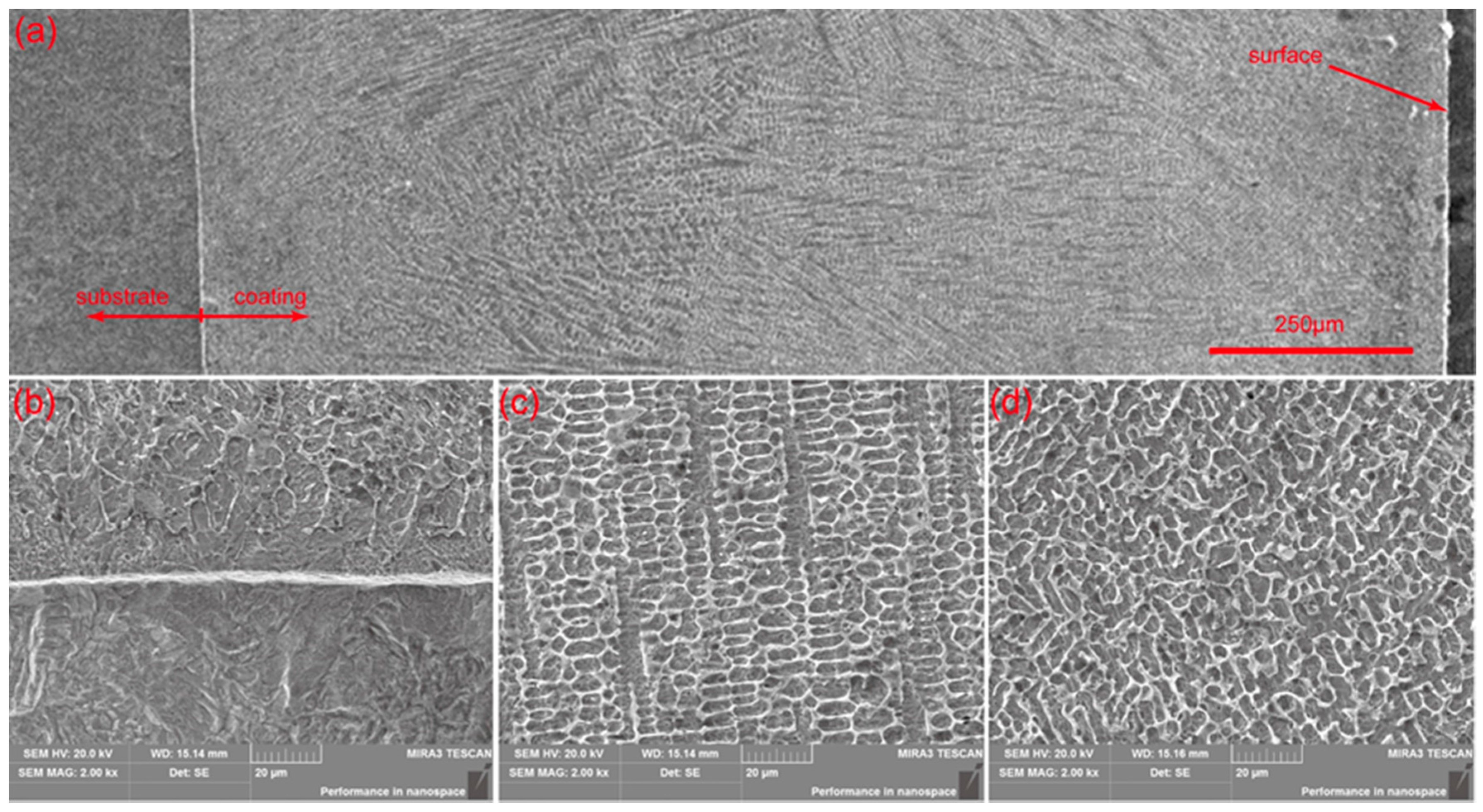 Metals 07 00435 g004