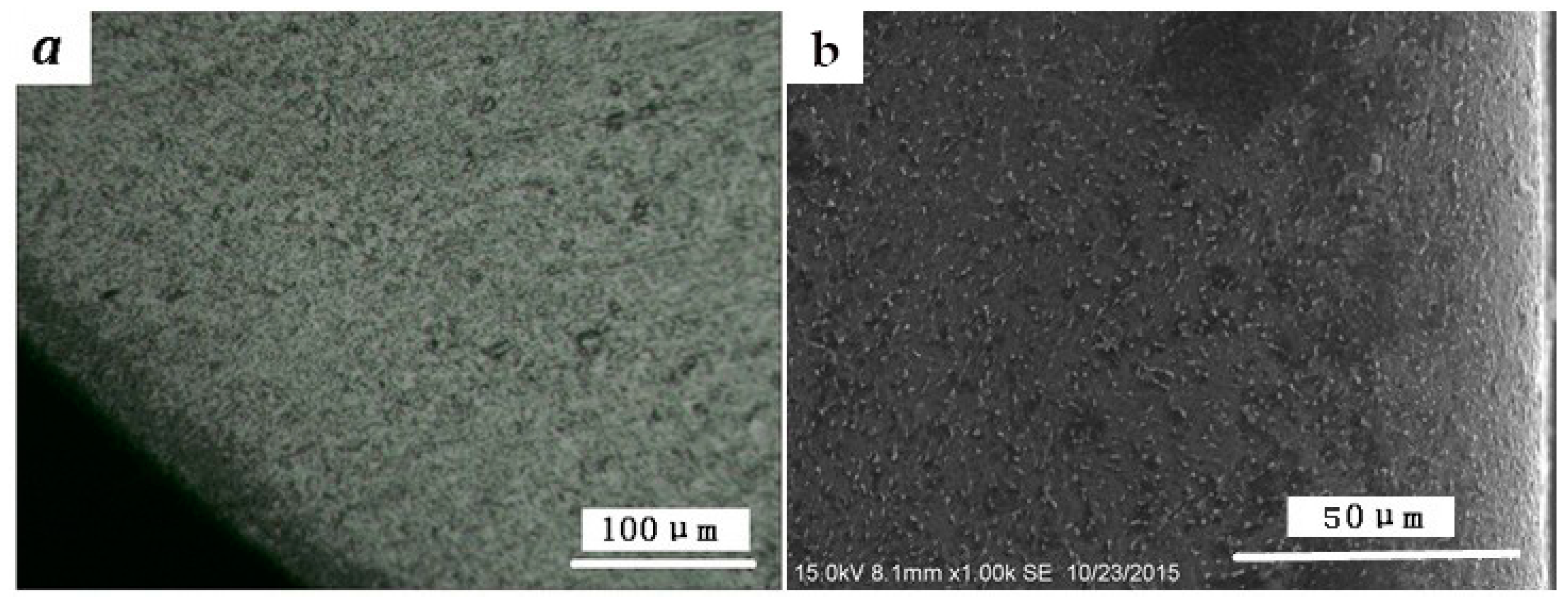 Metals 07 00440 g002