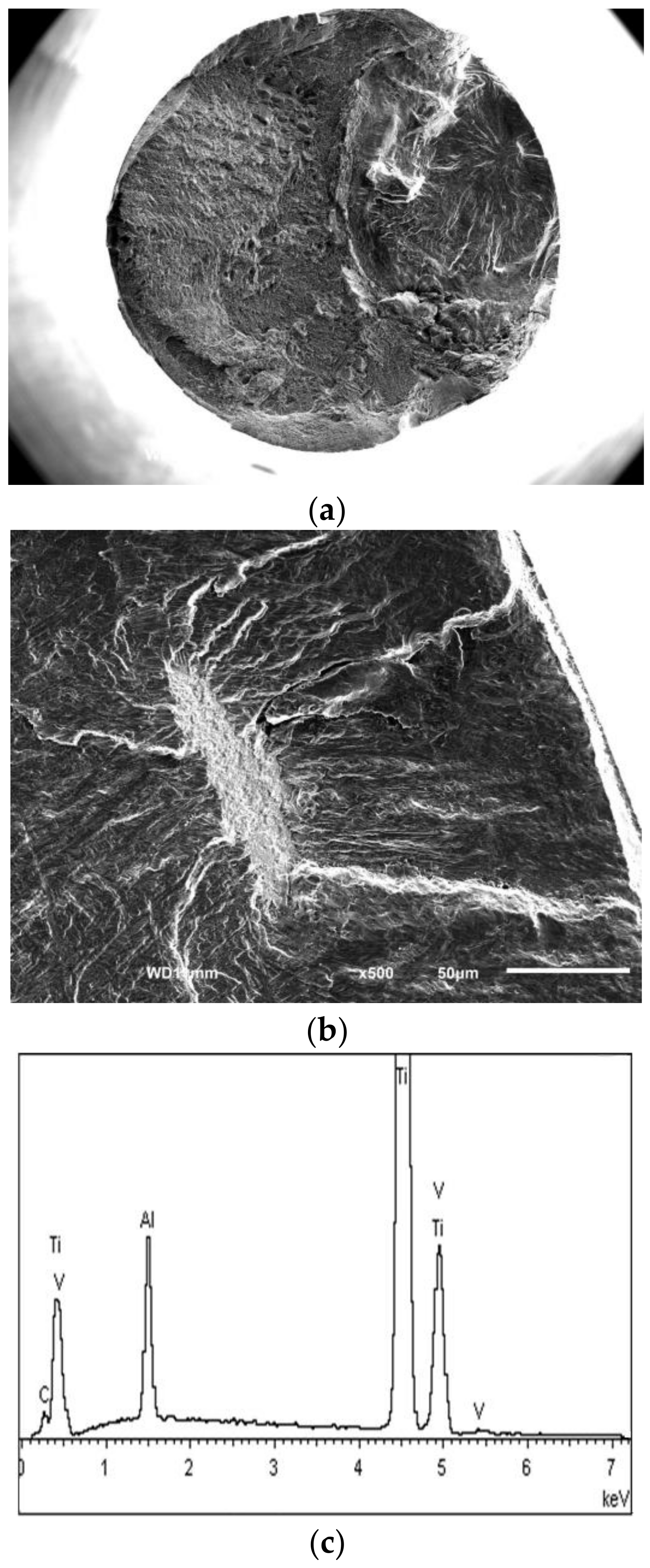Metals 07 00440 g010