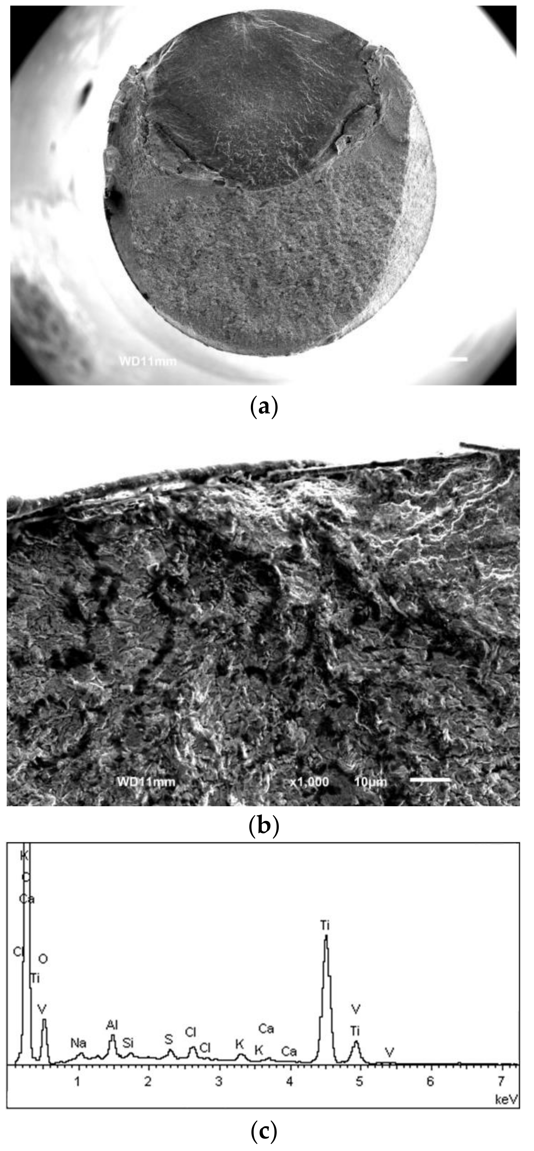 Metals 07 00440 g012