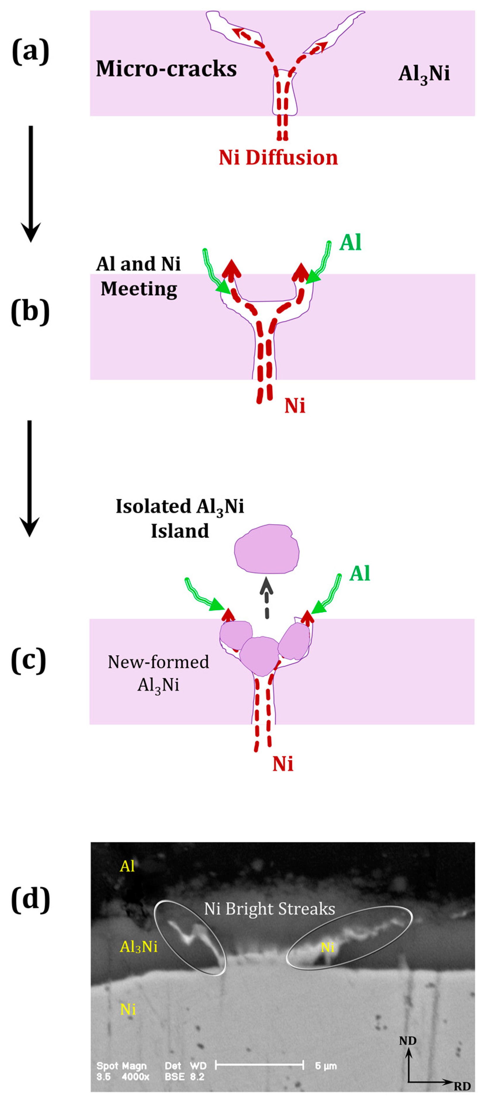 Metals 07 00445 g009