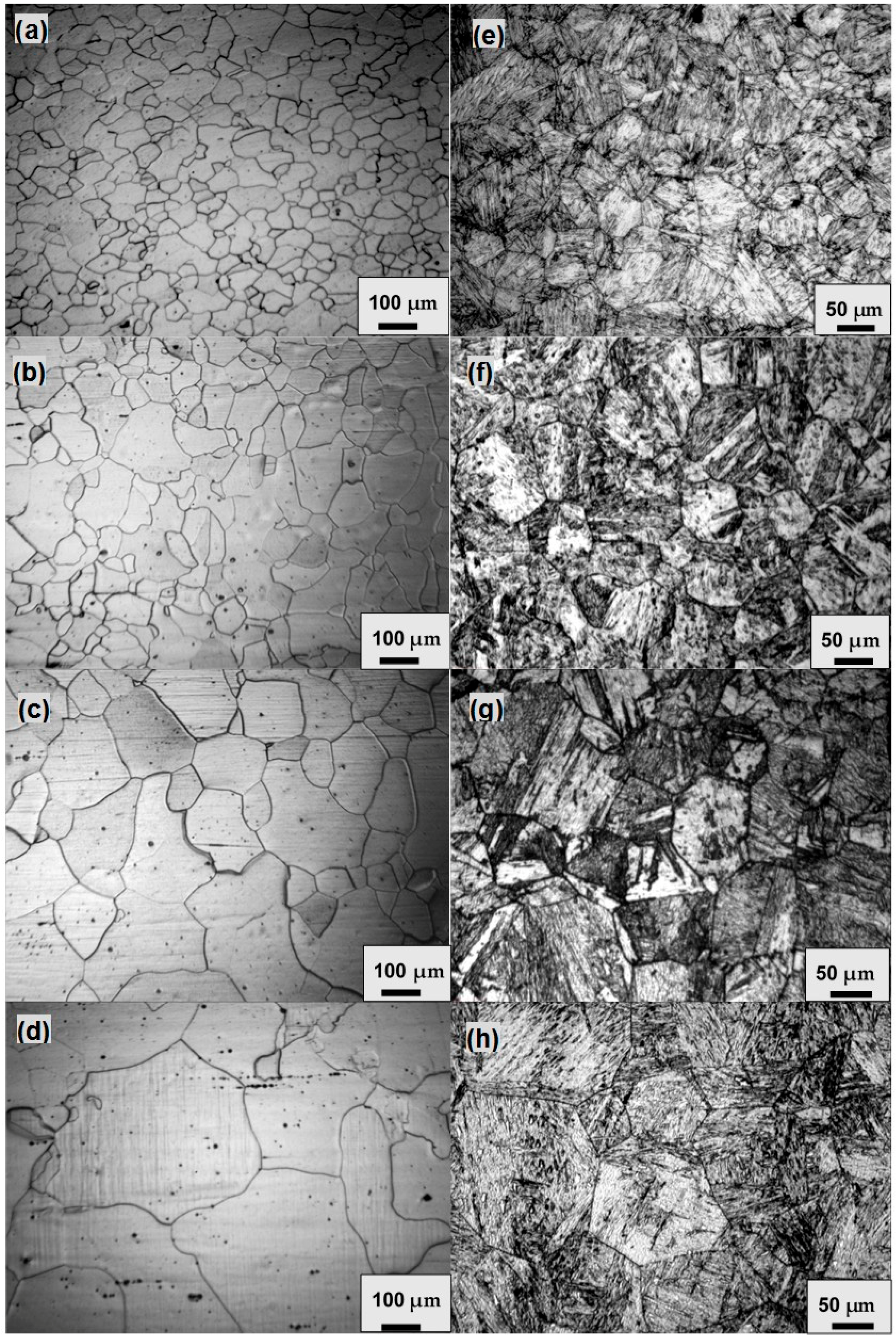 Metals 07 00470 g001