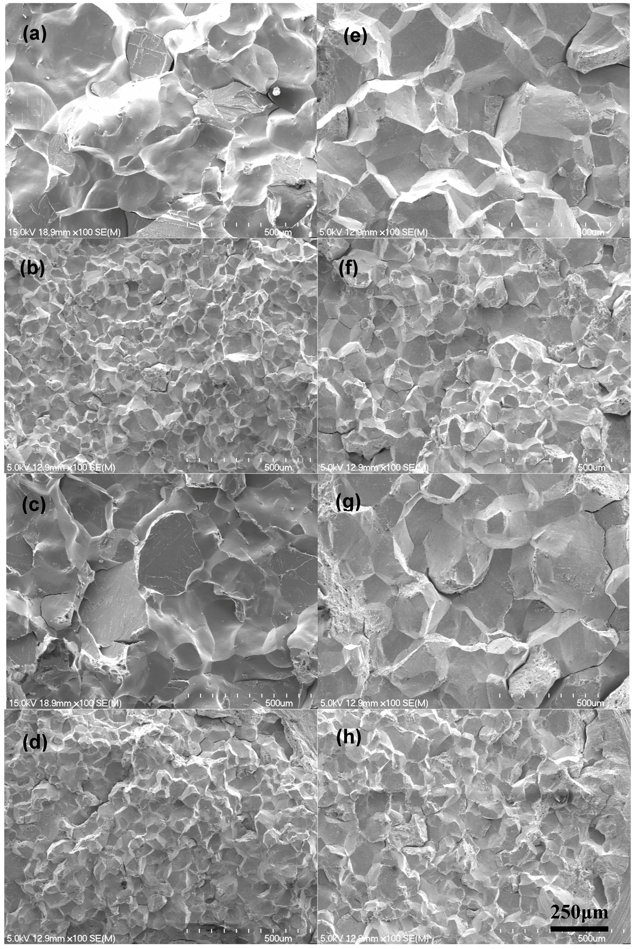 Metals 07 00470 g002