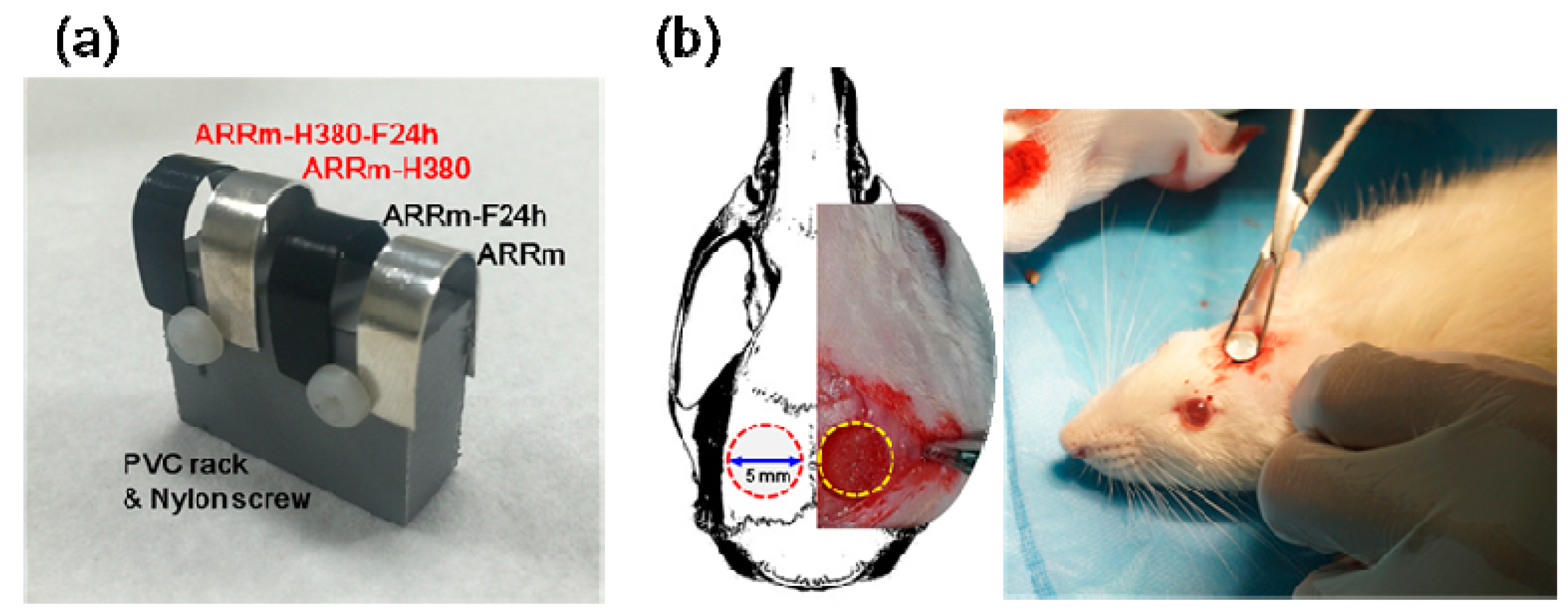 Metals 07 00481 g002