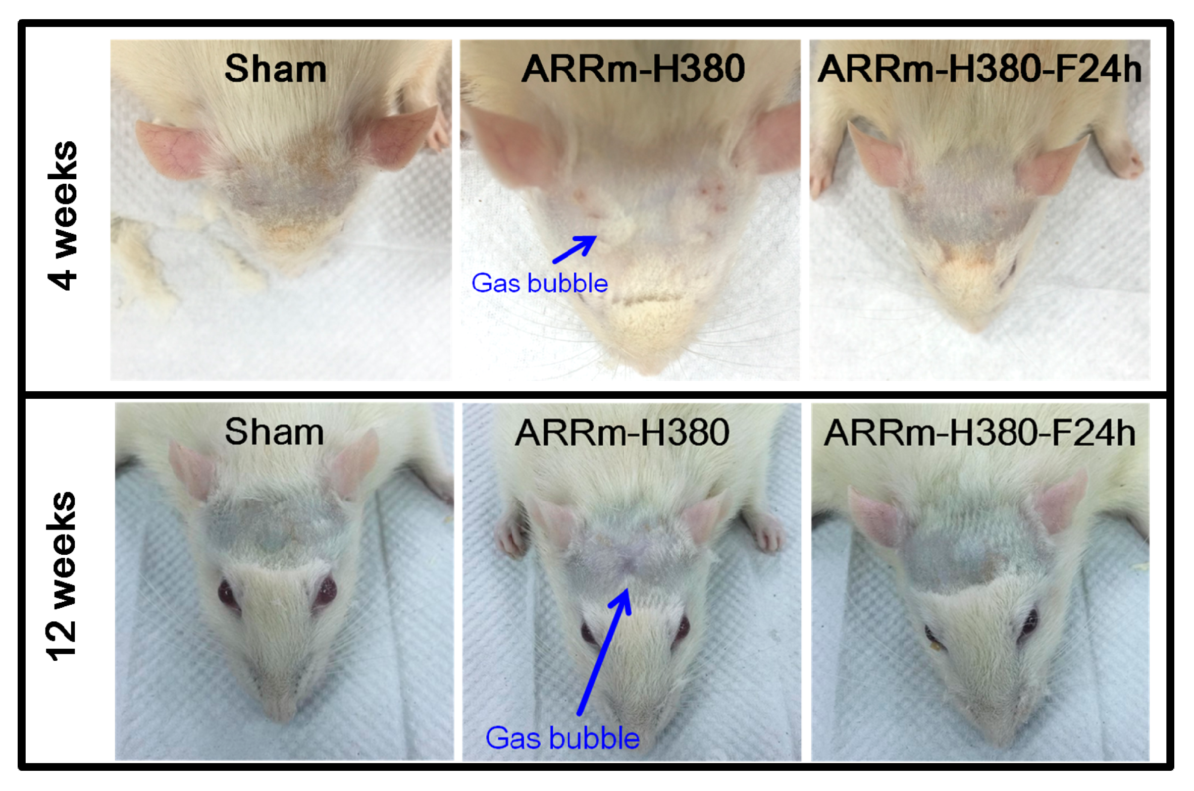 Metals 07 00481 g011