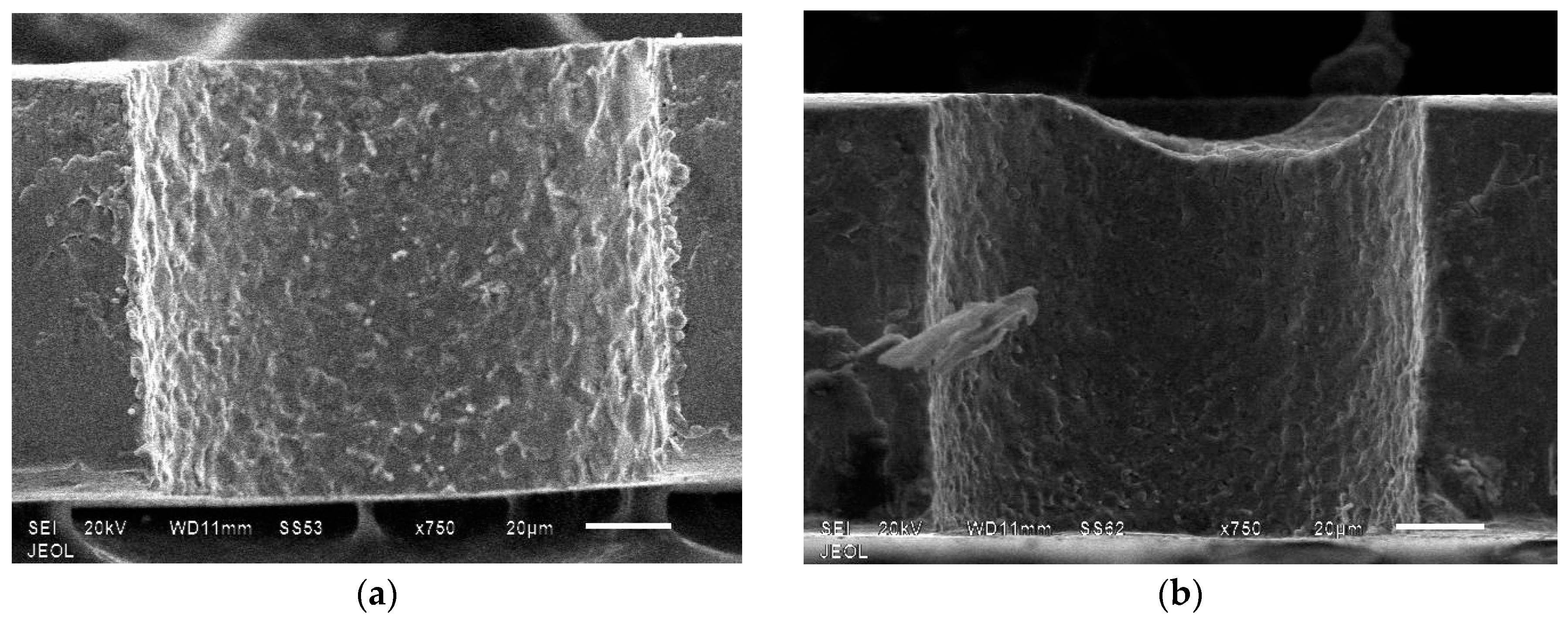 Metals 07 00486 g002