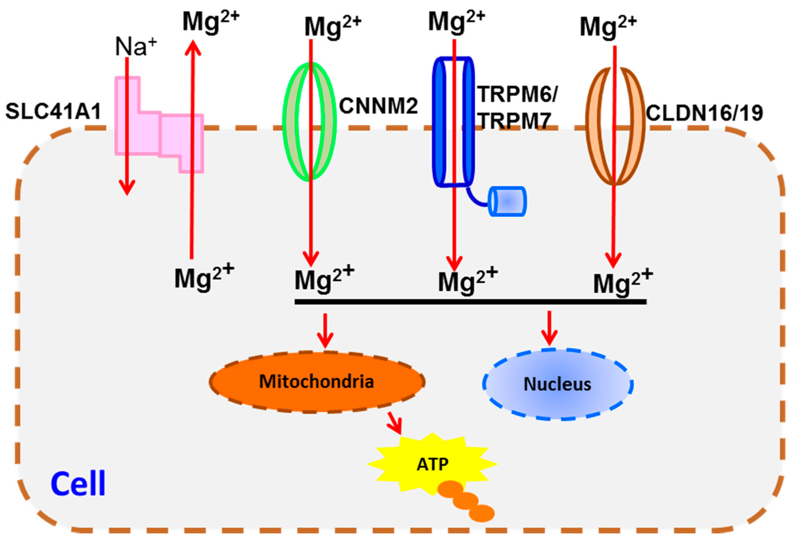Metals 07 00514 g001