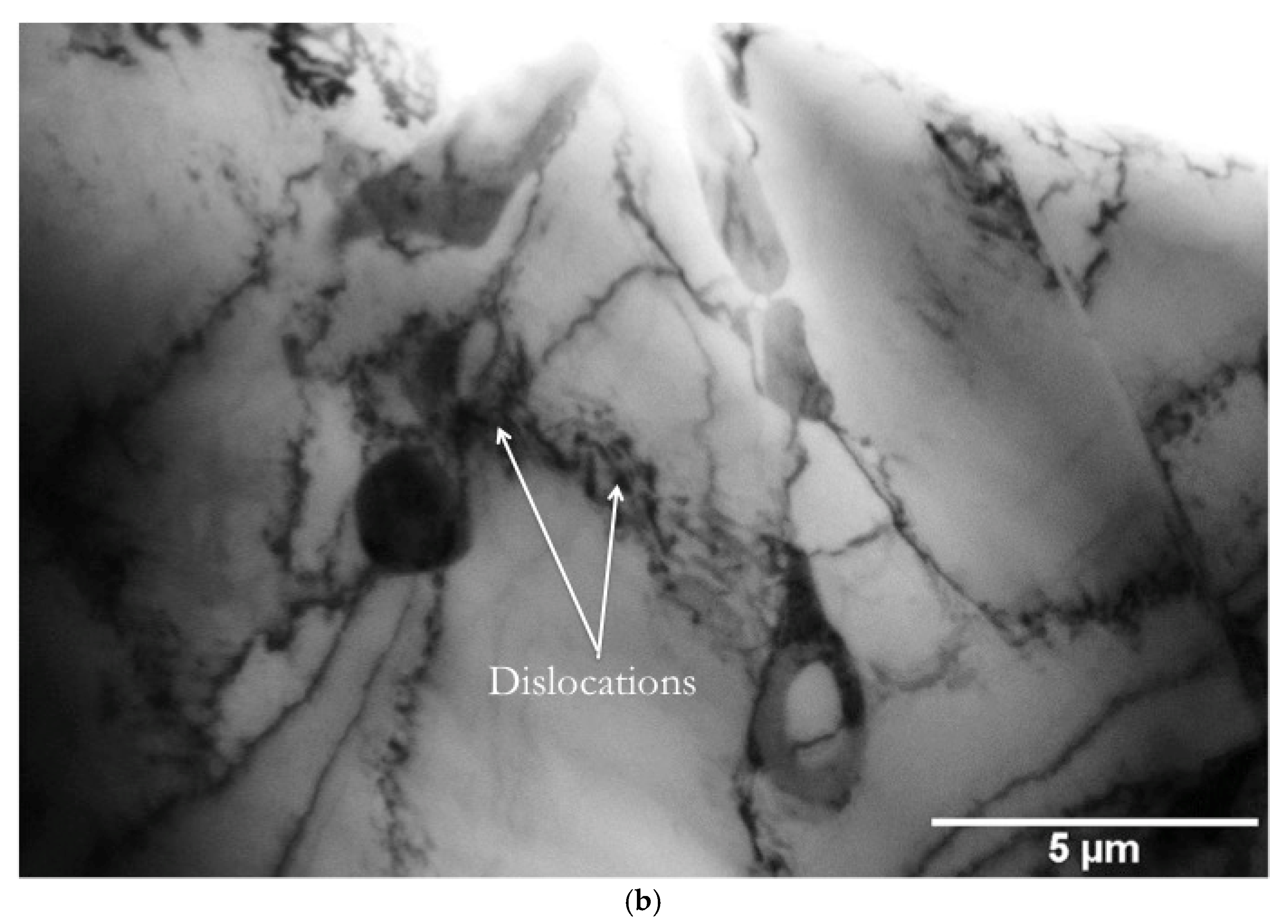 Metals 07 00539 g007b