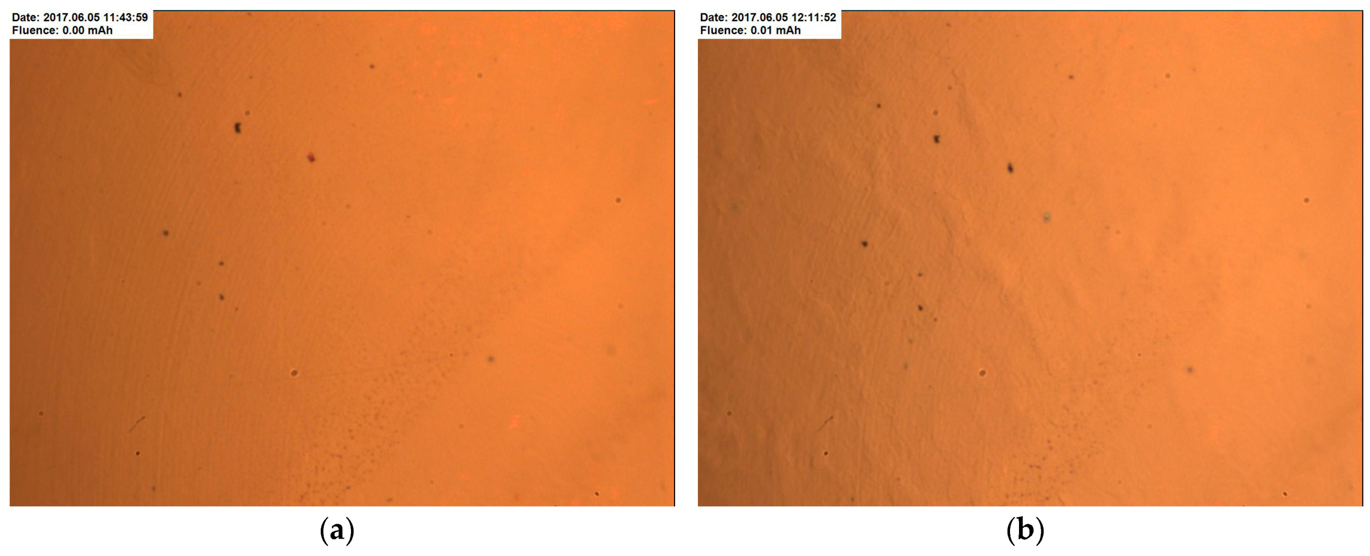 Metals 07 00558 g009a