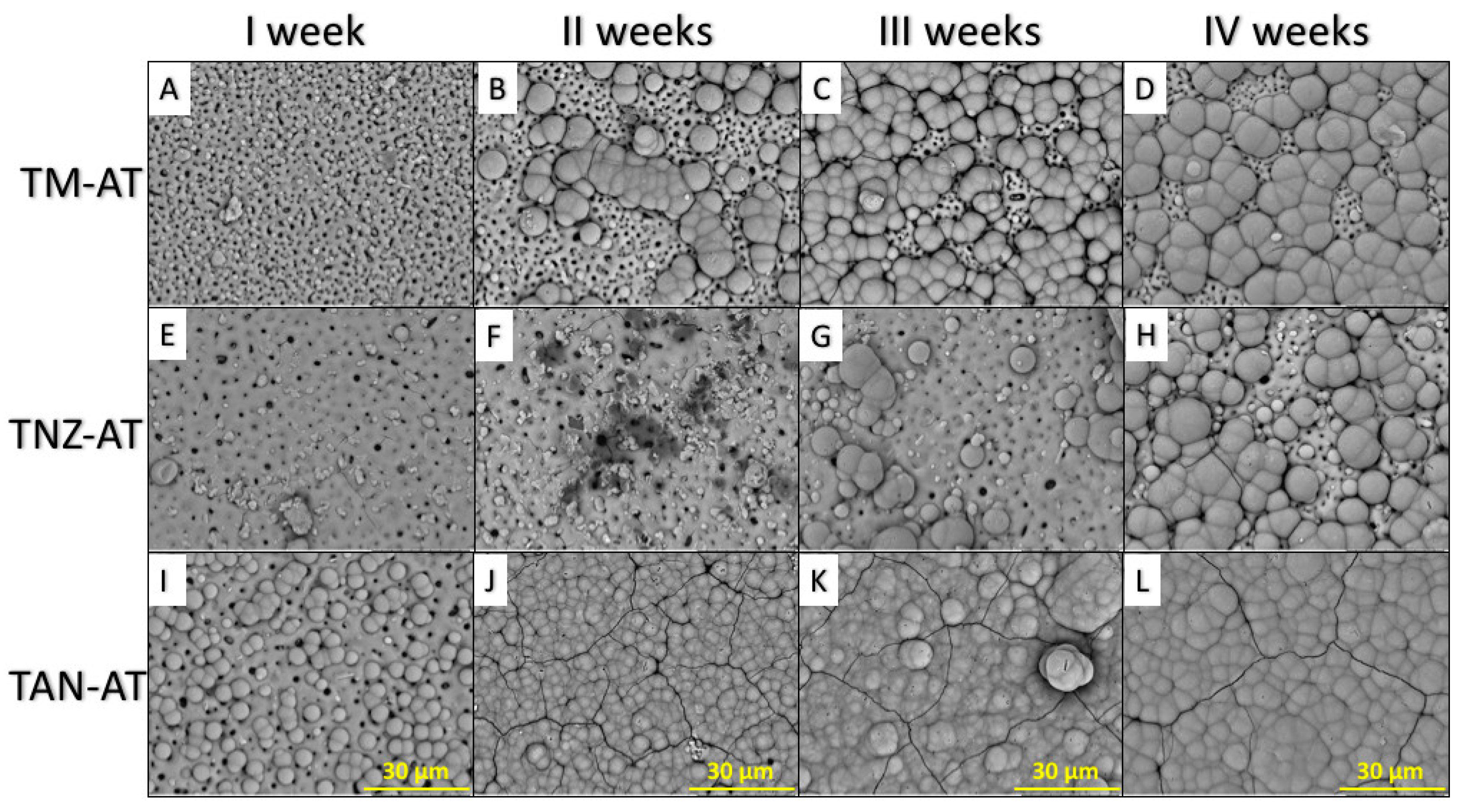 Metals 08 00029 g002