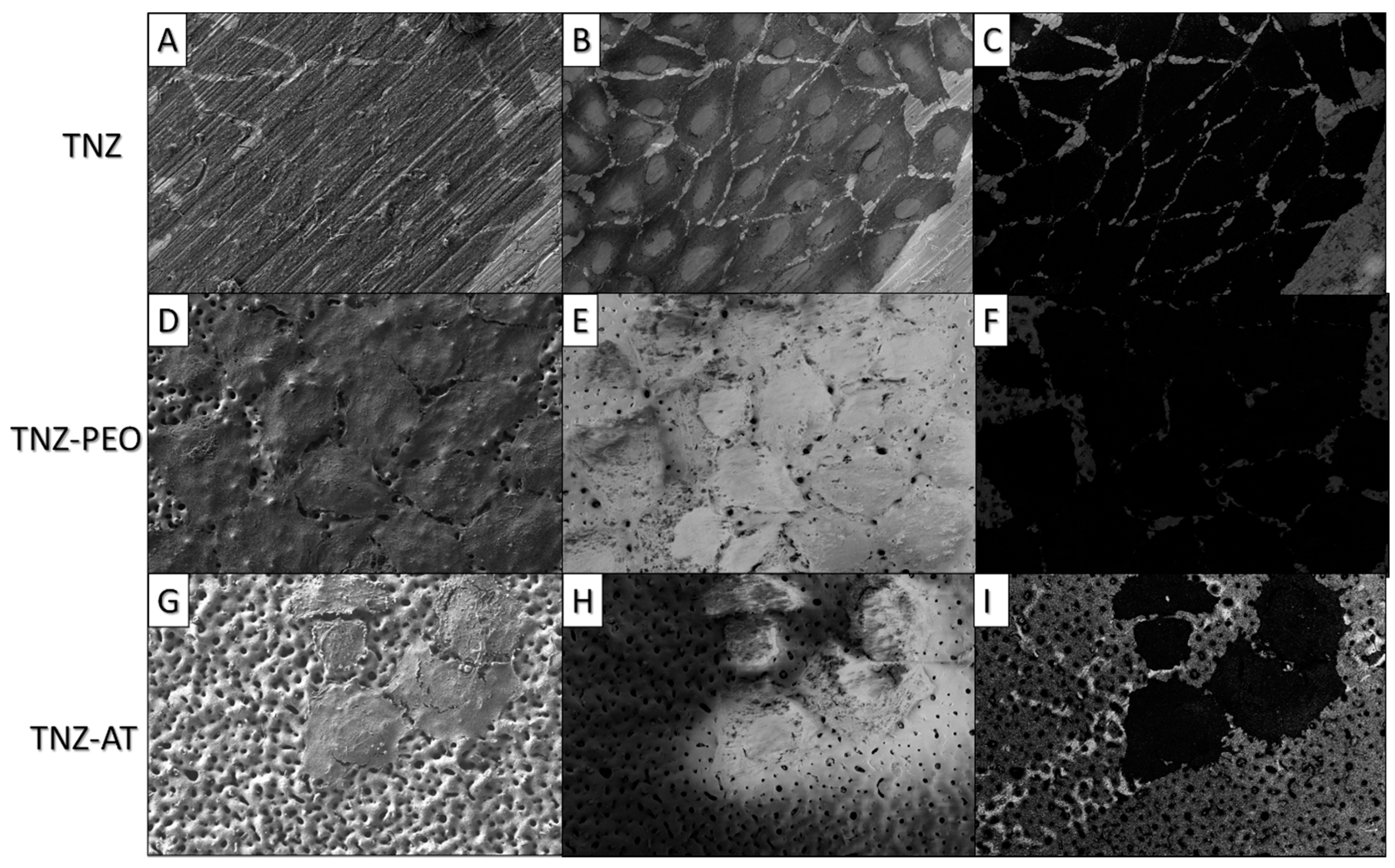 Metals 08 00029 g005