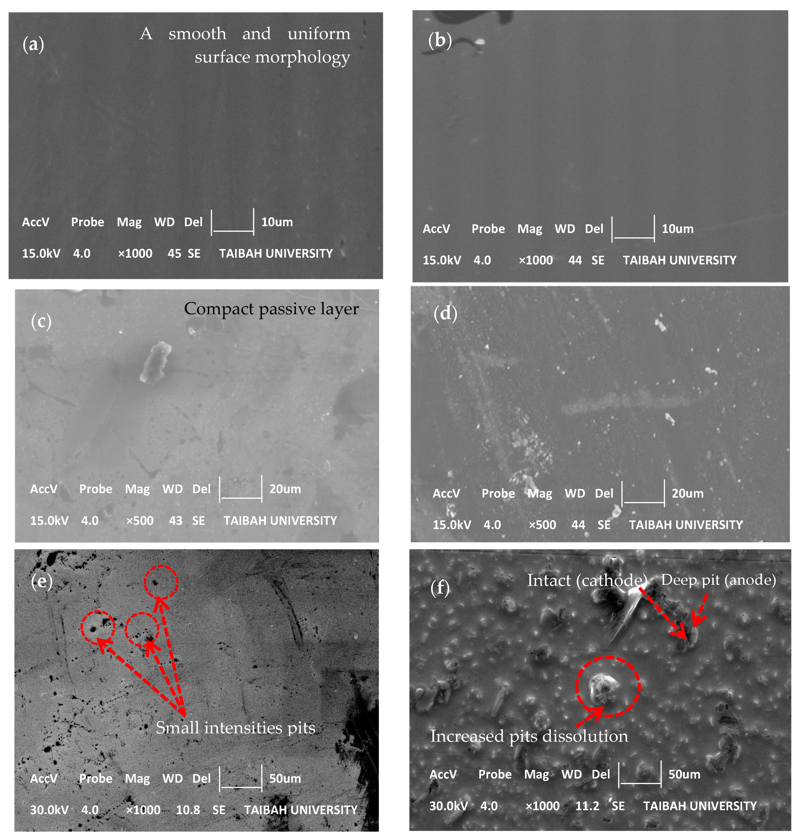 Metals 08 00064 g006