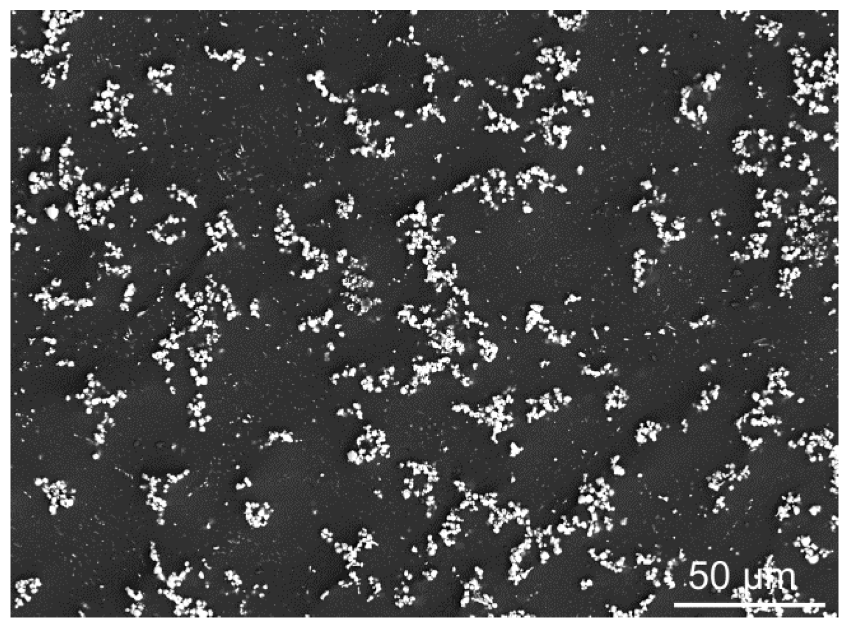 Metals 08 00073 g002