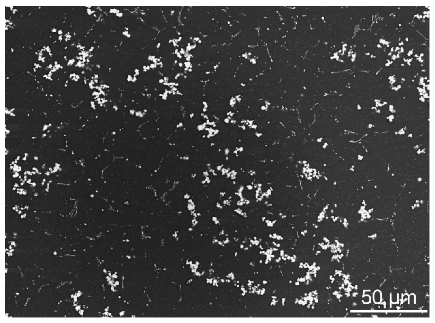 Metals 08 00073 g005