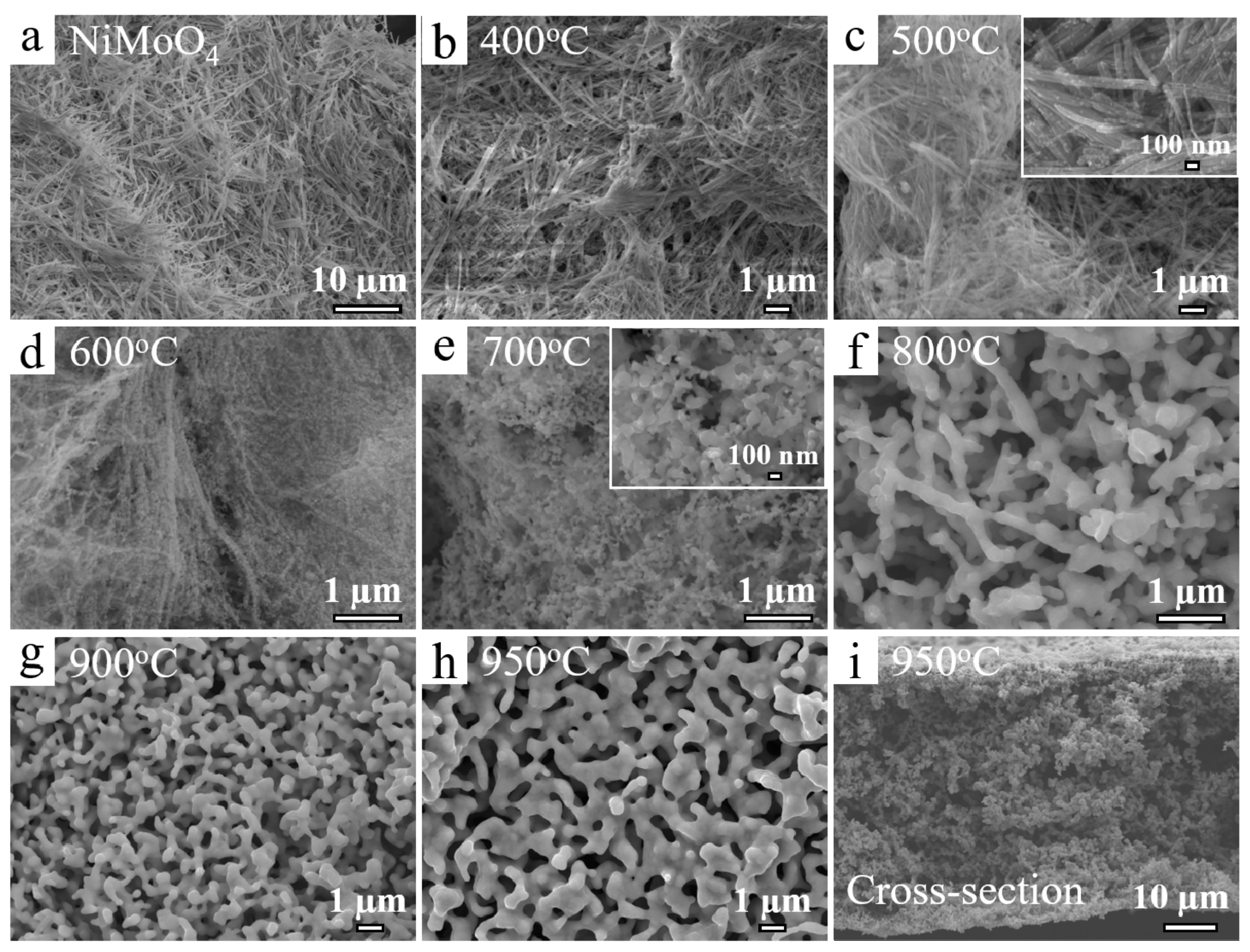 Metals 08 00083 g002