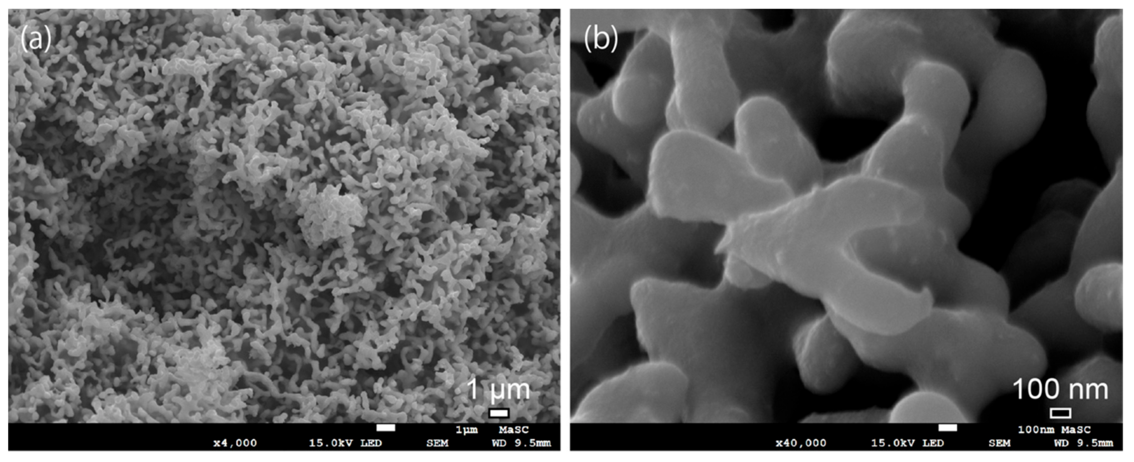 Metals 08 00083 g005