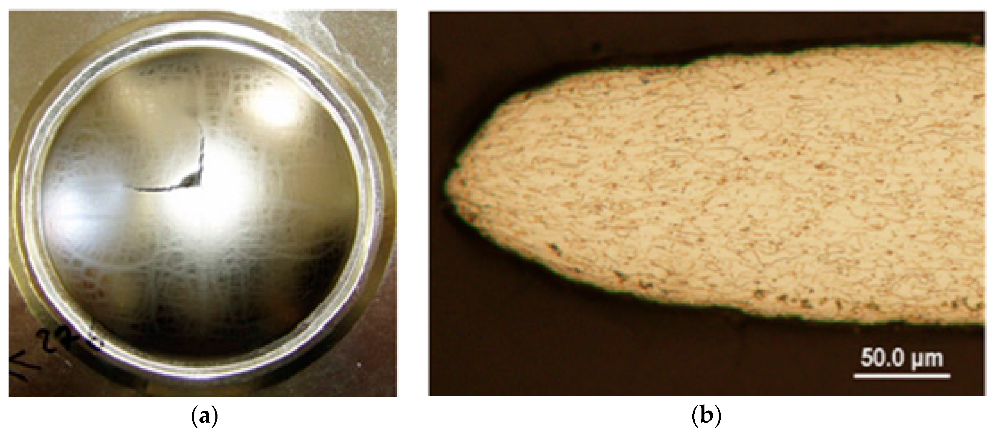 Metals 08 00099 g007