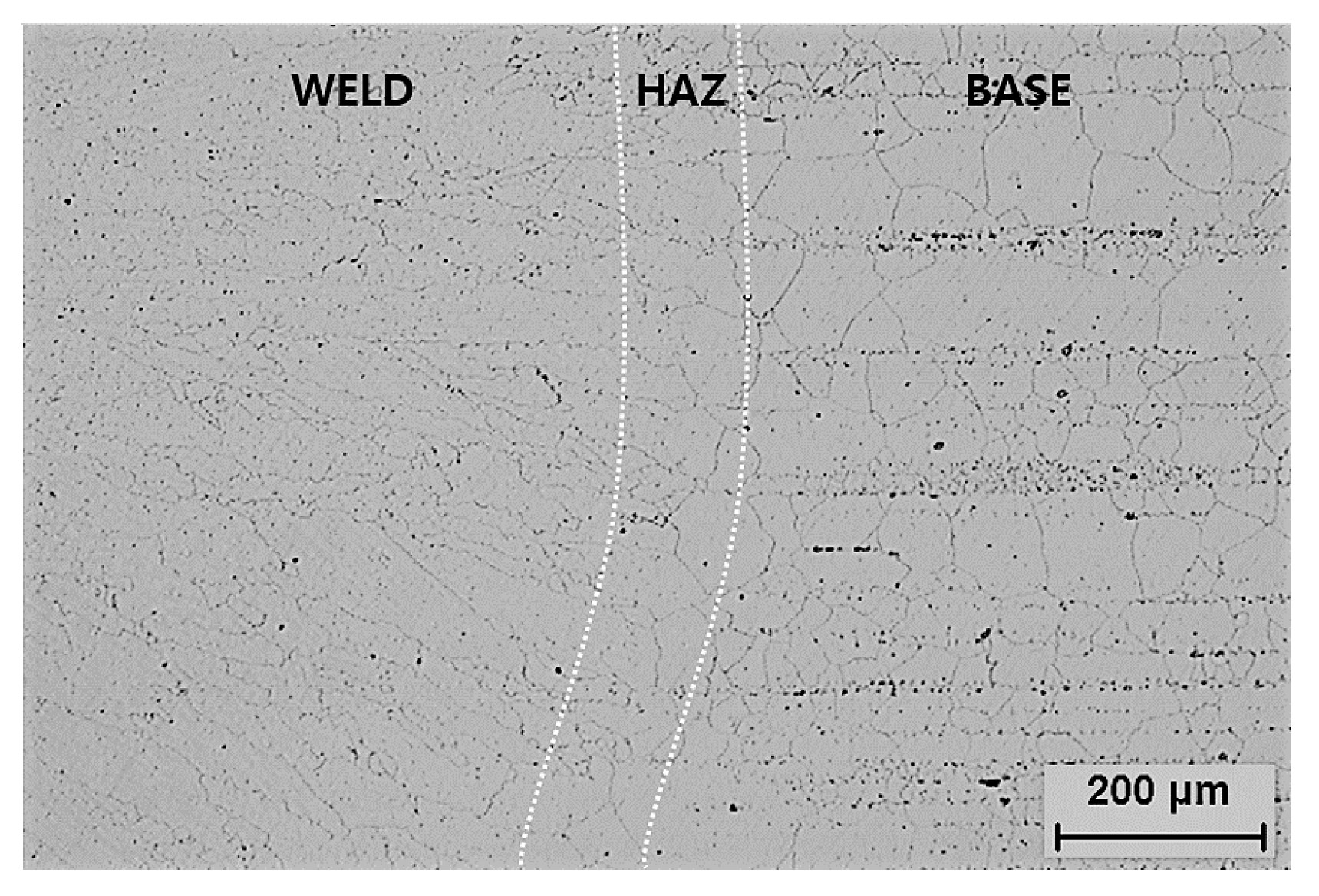 Metals 08 00103 g001