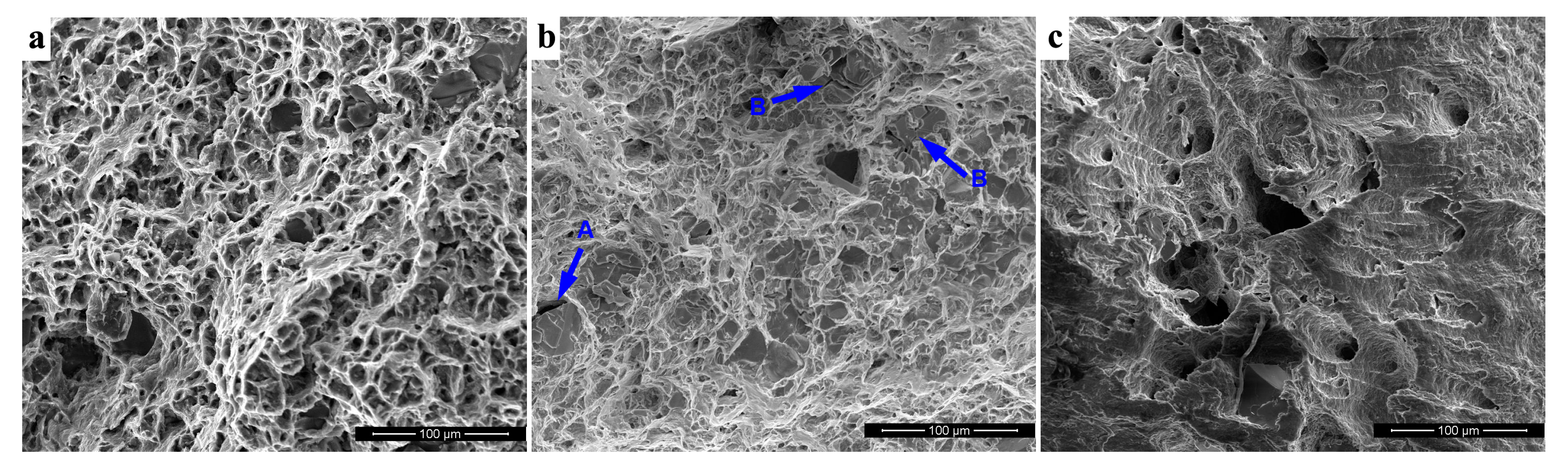 Metals 08 00106 g007