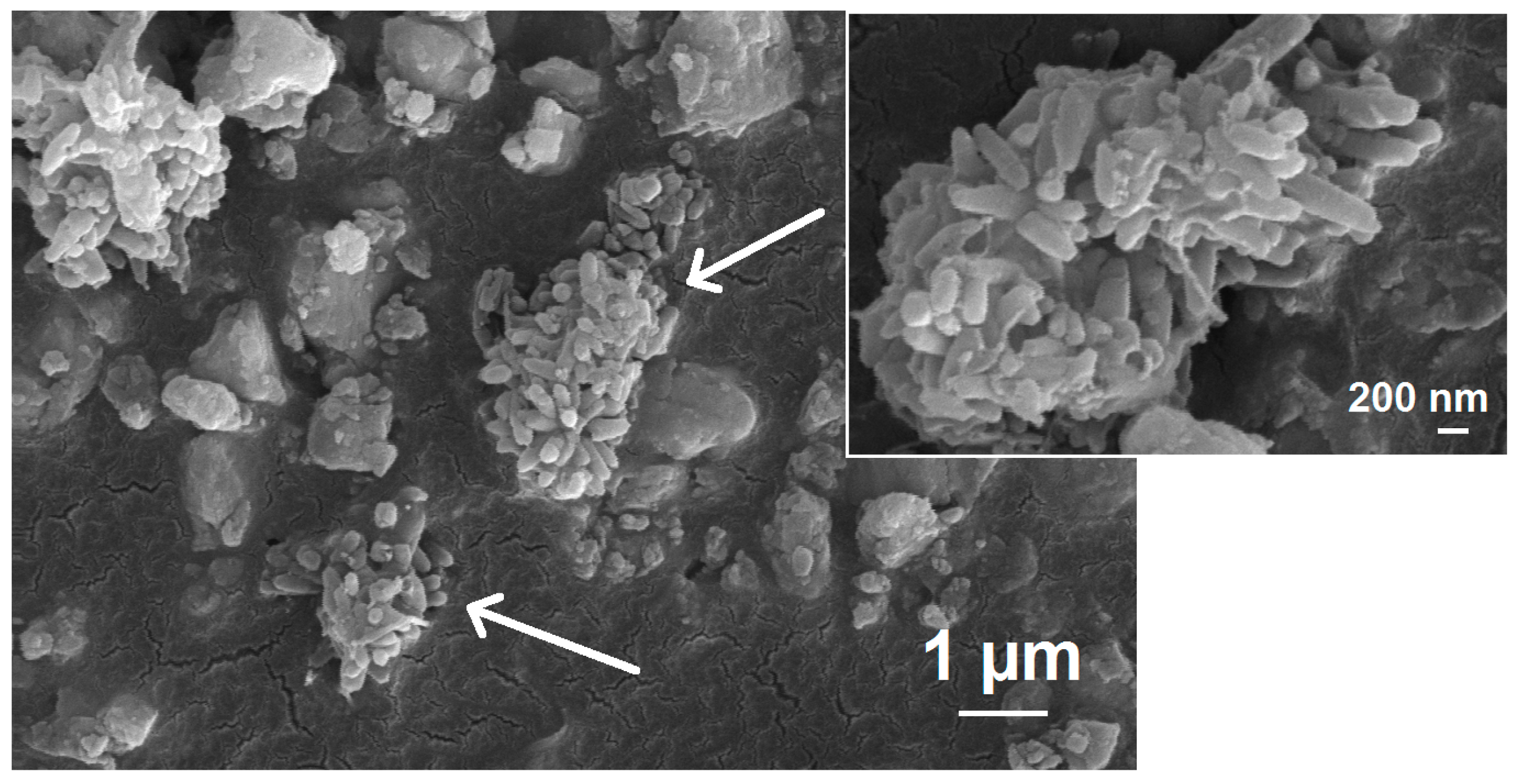 Metals 08 00113 g009