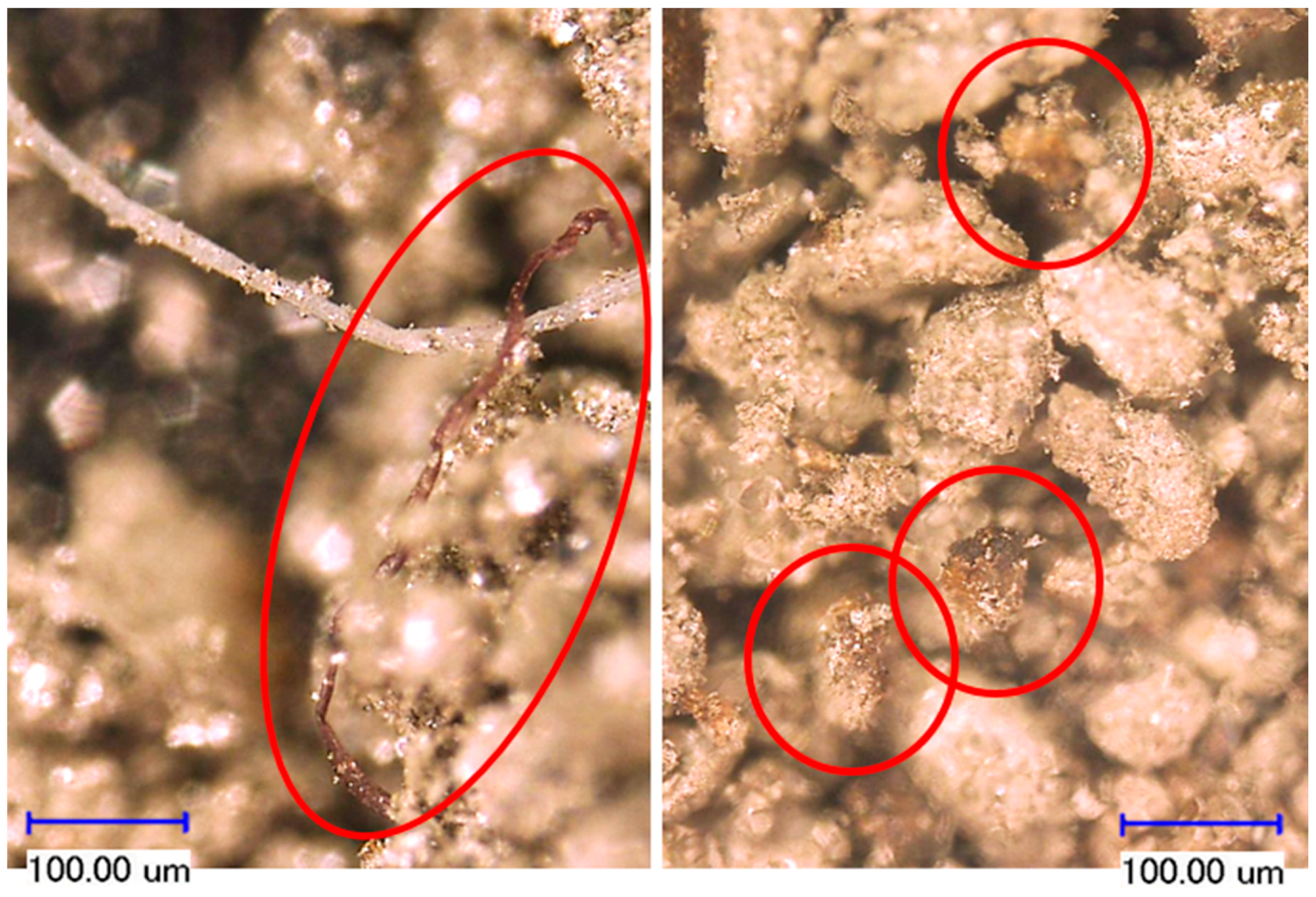 Metals 08 00114 g013