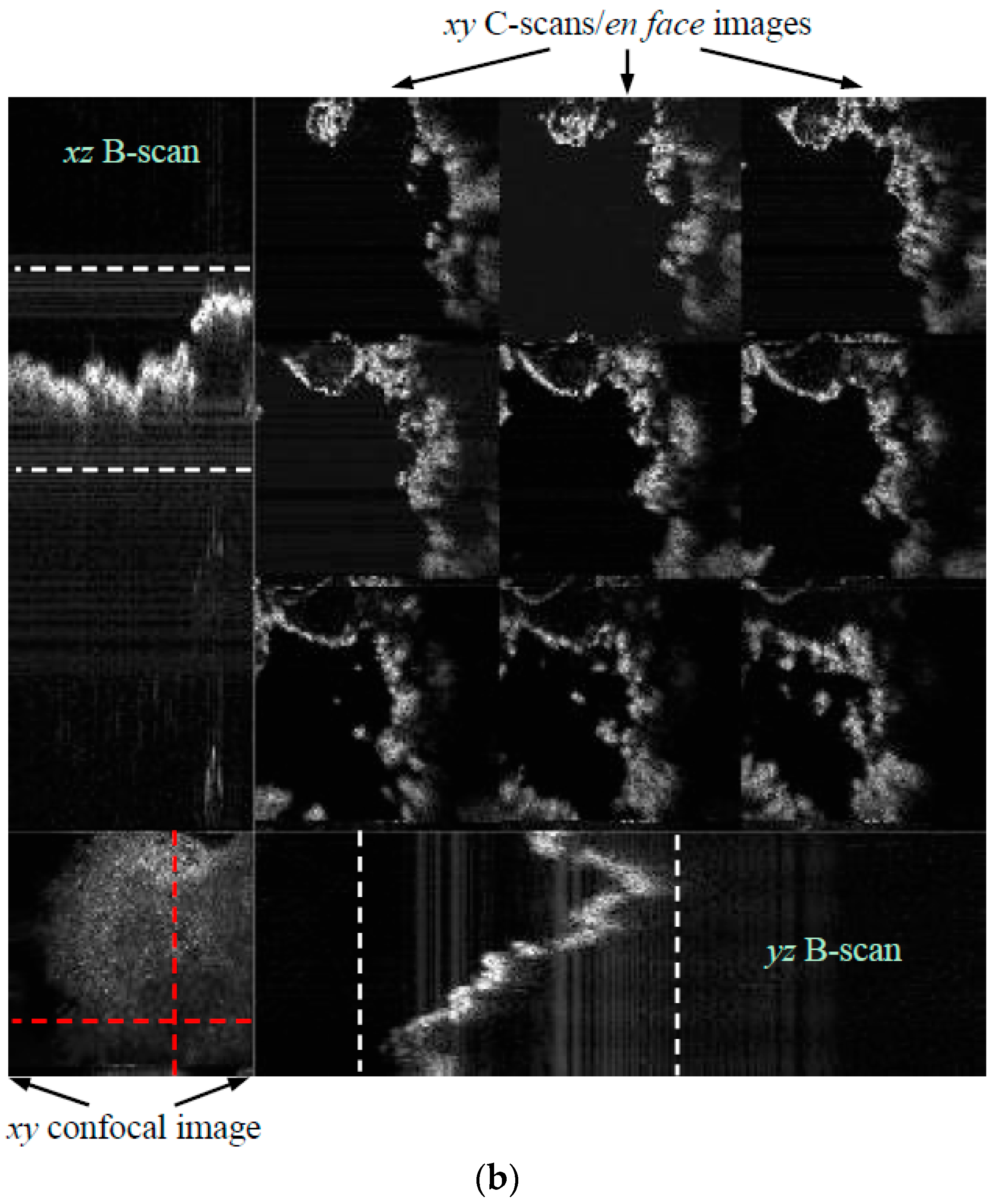 Metals 08 00117 g001b