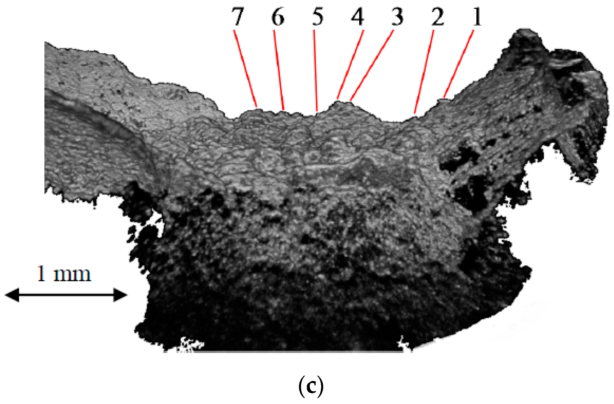 Metals 08 00117 g004b