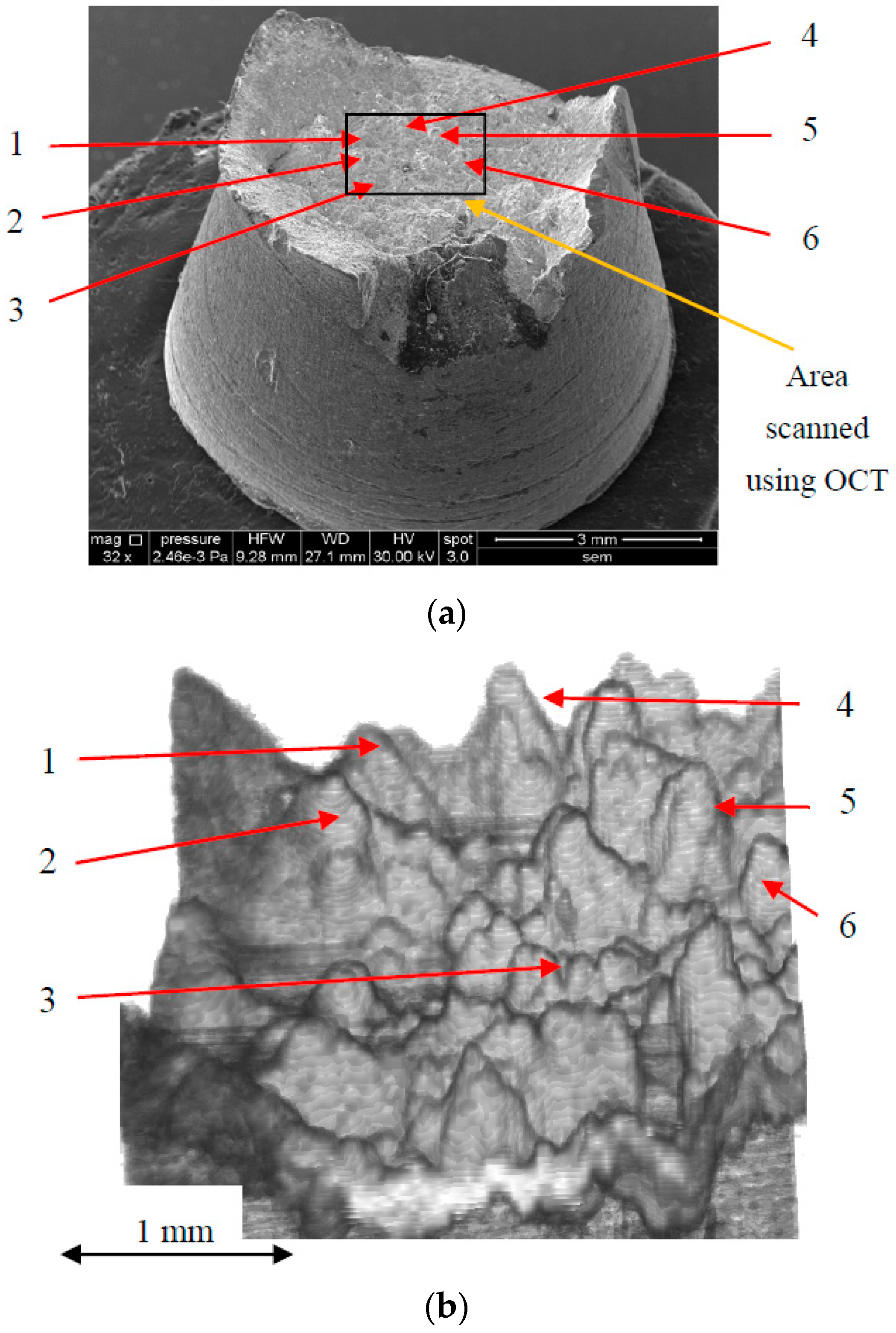 Metals 08 00117 g005