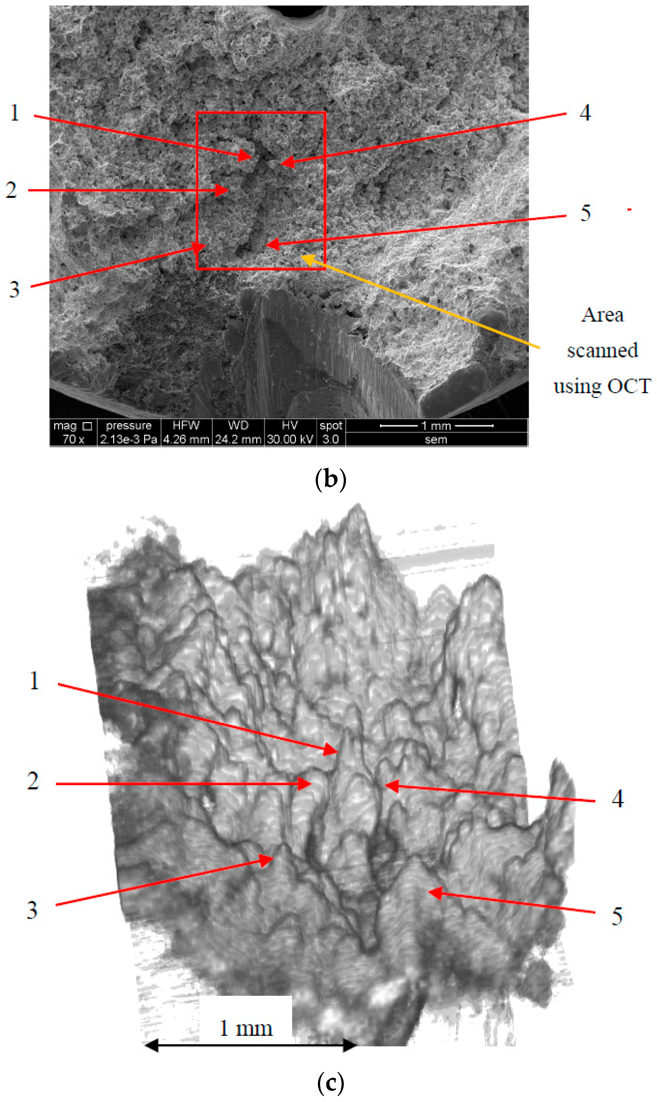 Metals 08 00117 g008b