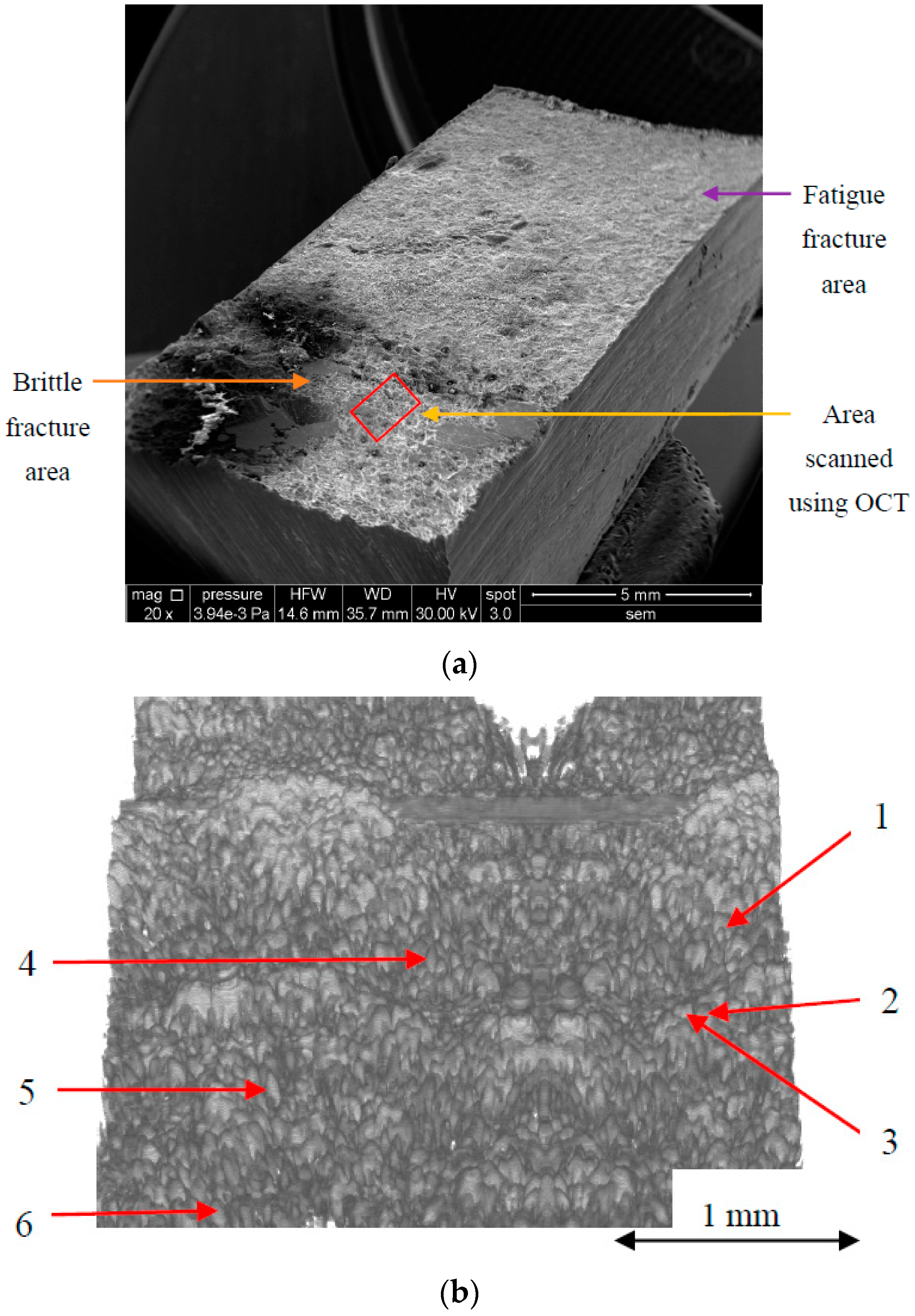 Metals 08 00117 g010a