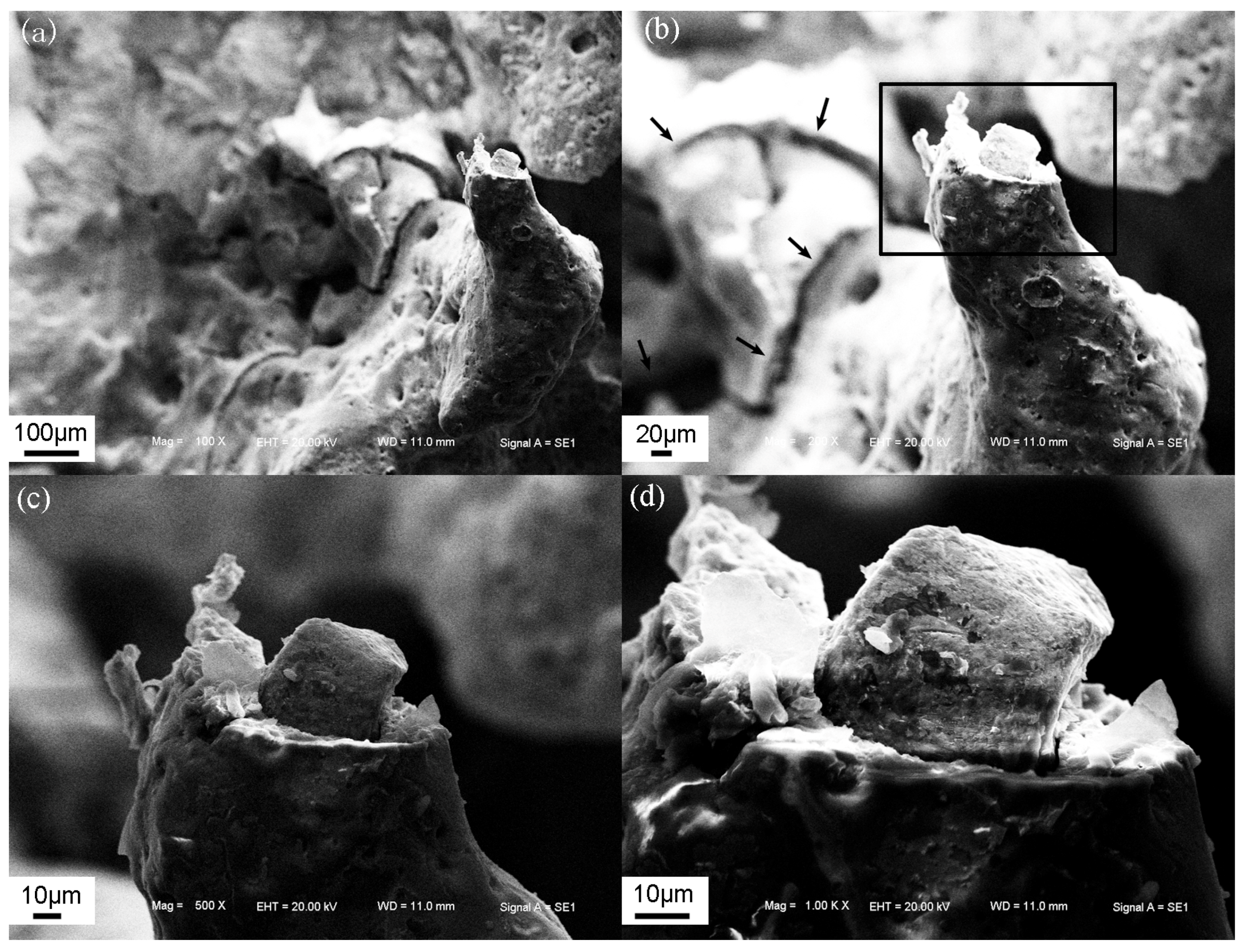 Metals 08 00118 g012