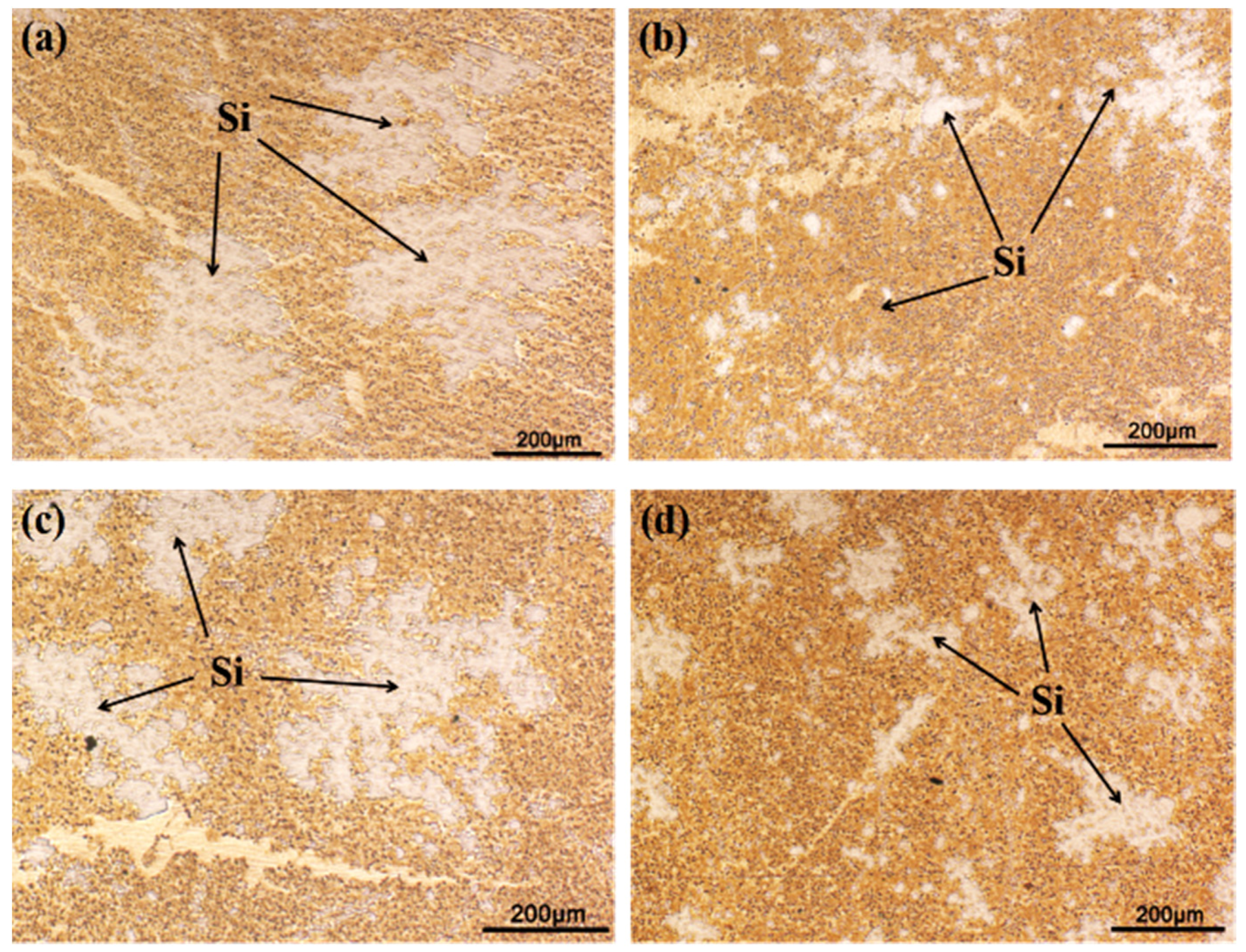 Metals 08 00124 g001