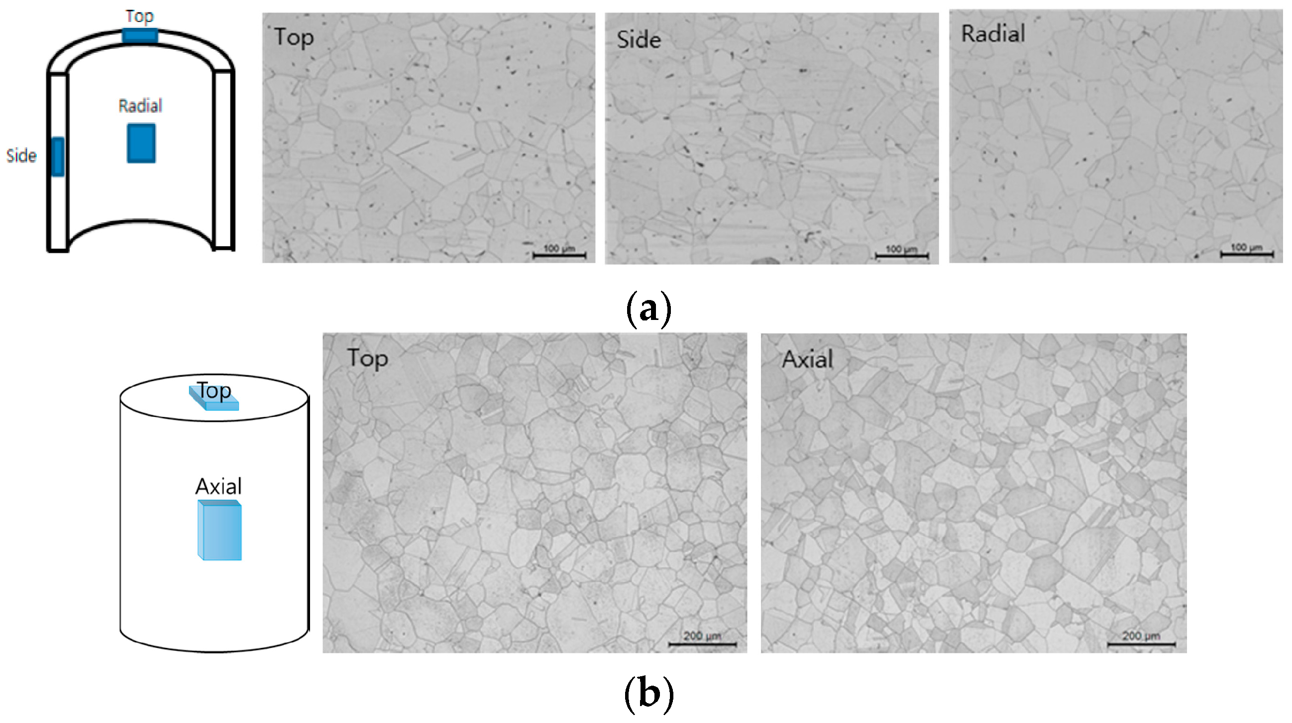 Metals 08 00130 g001a Metals 08 00130 g001a