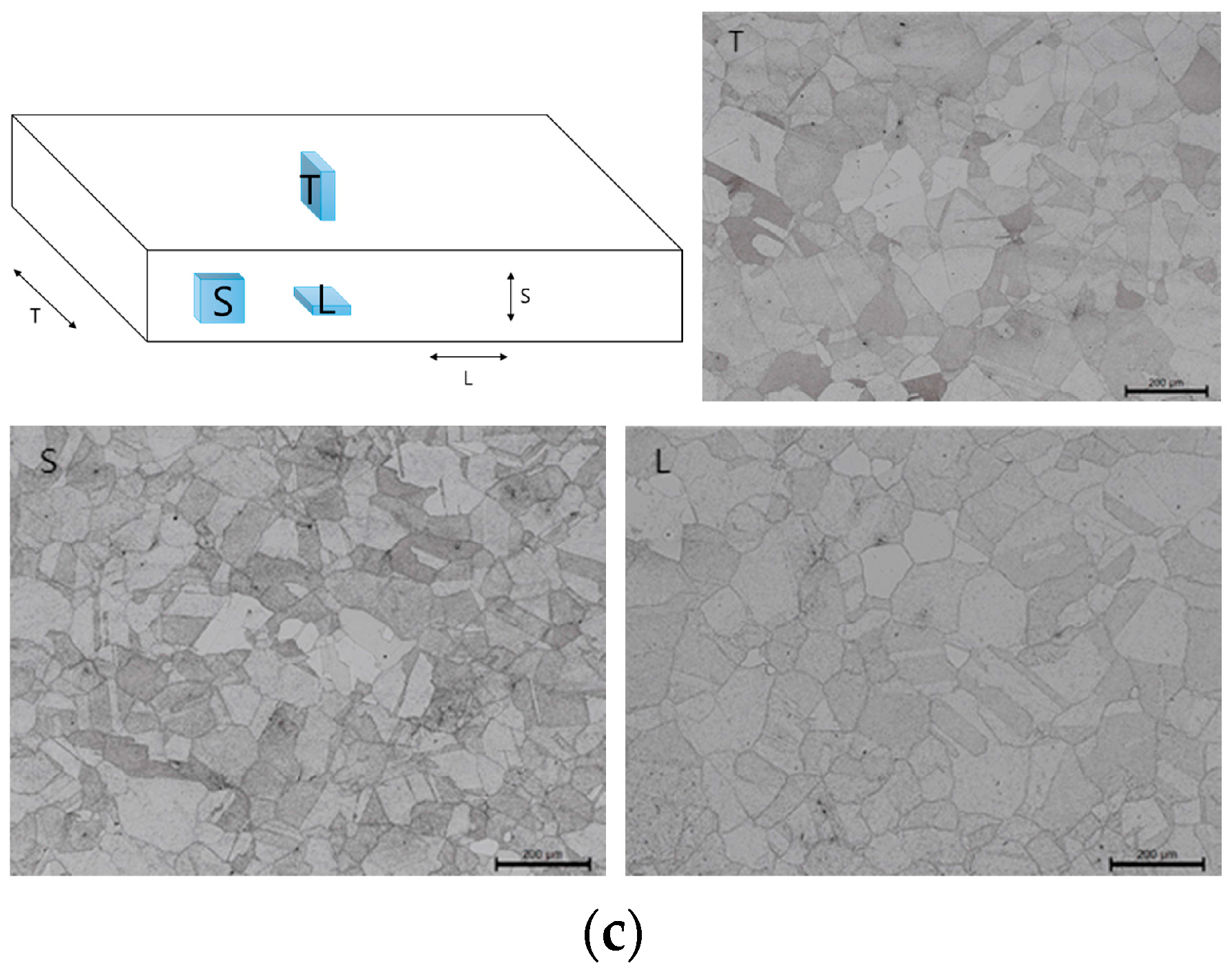 Metals 08 00130 g001b Metals 08 00130 g001b
