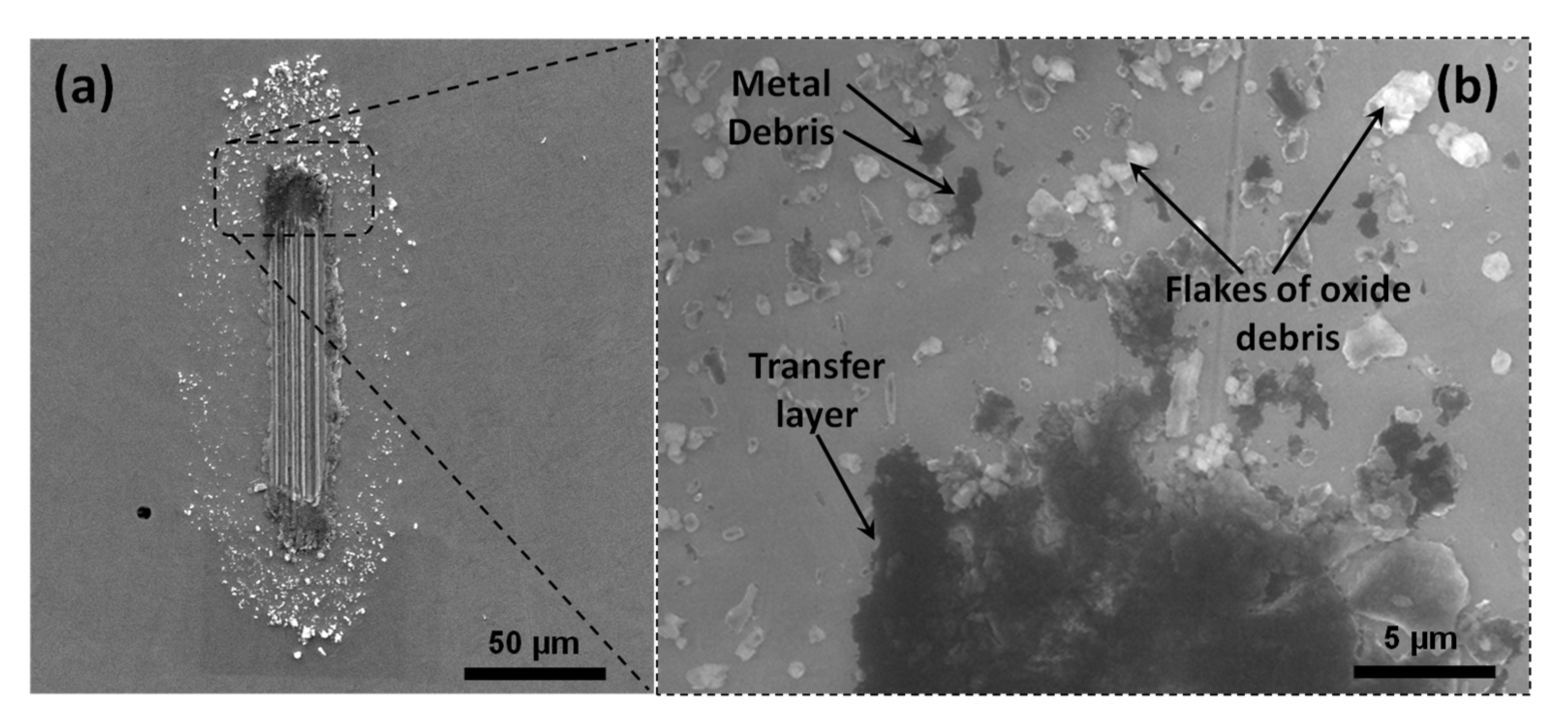 Metals 08 00131 g009