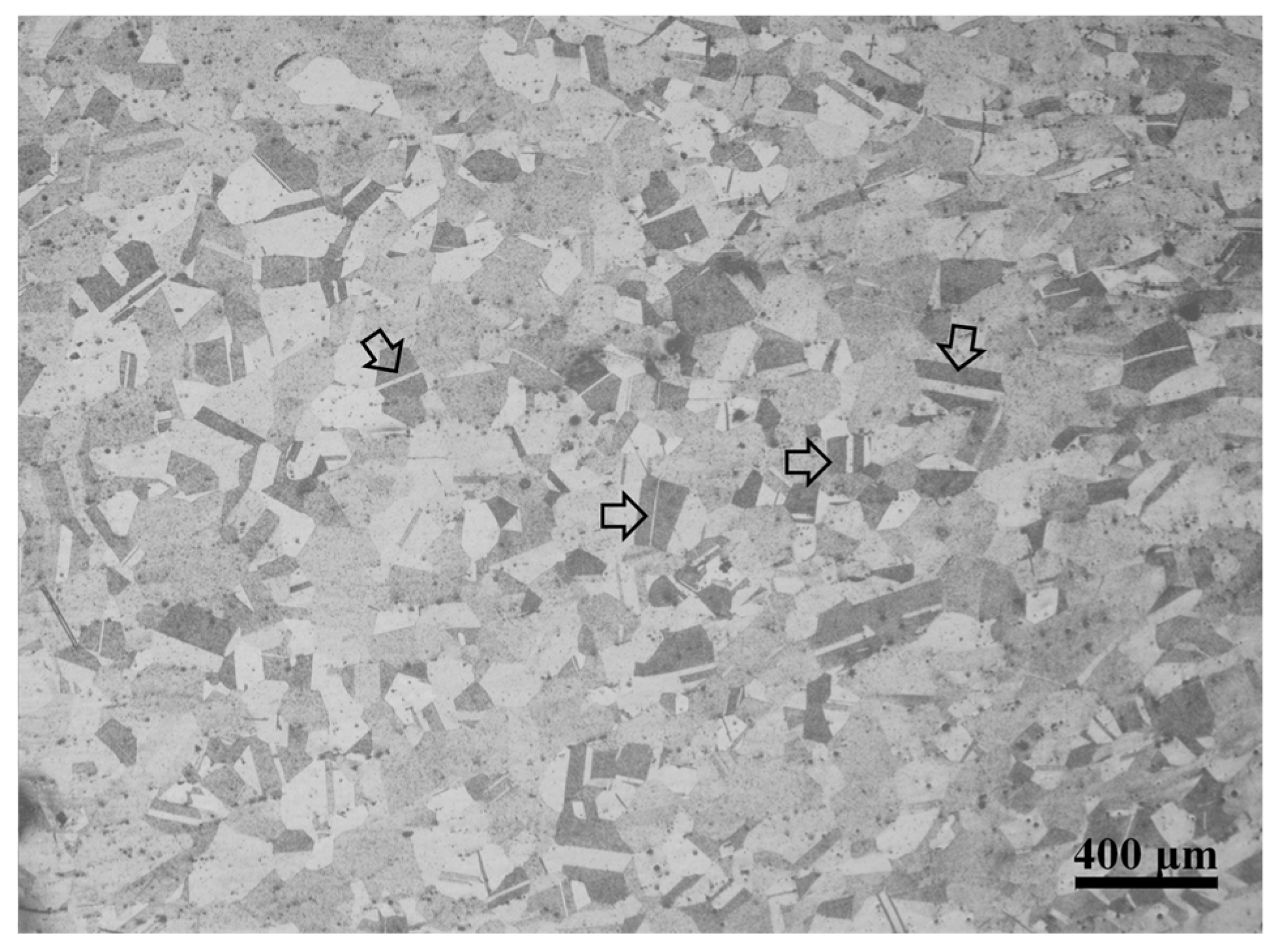 Metals 08 00141 g001 Metals 08 00141 g001