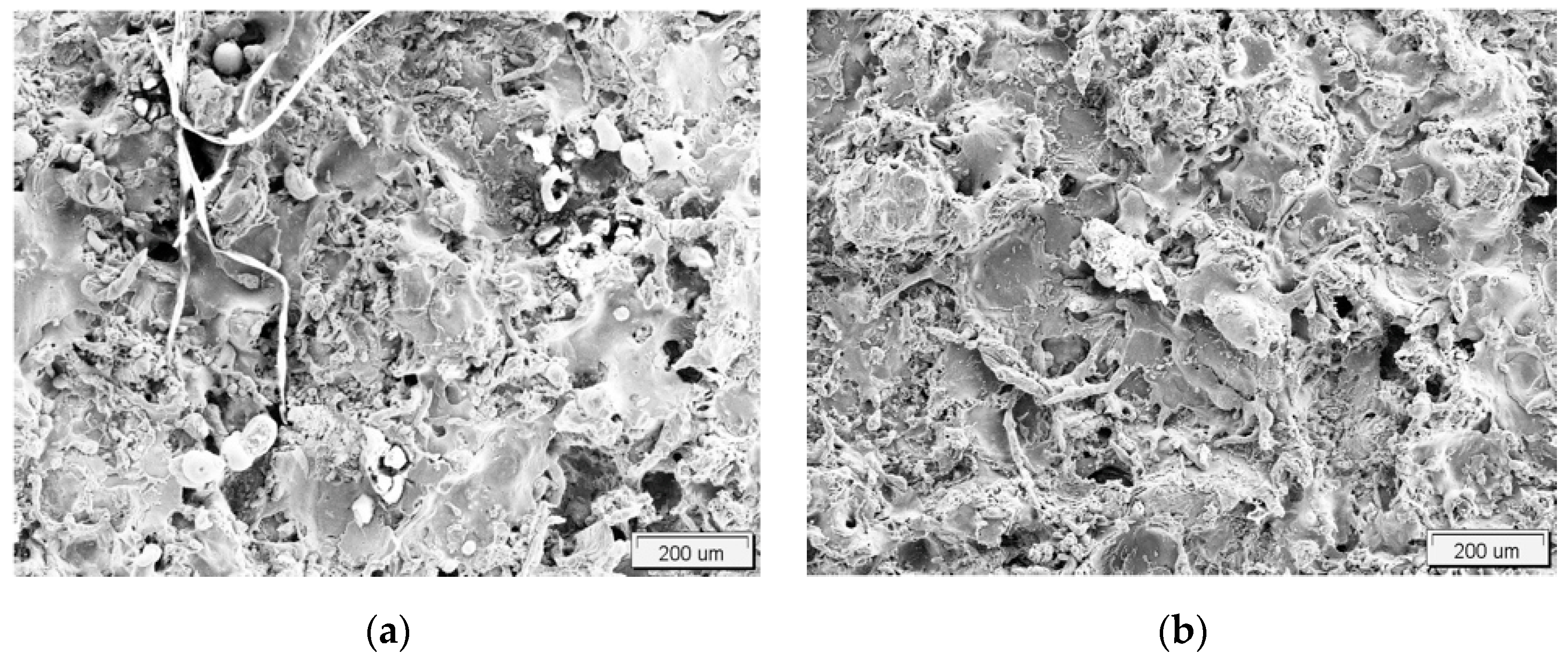 Metals 08 00142 g005