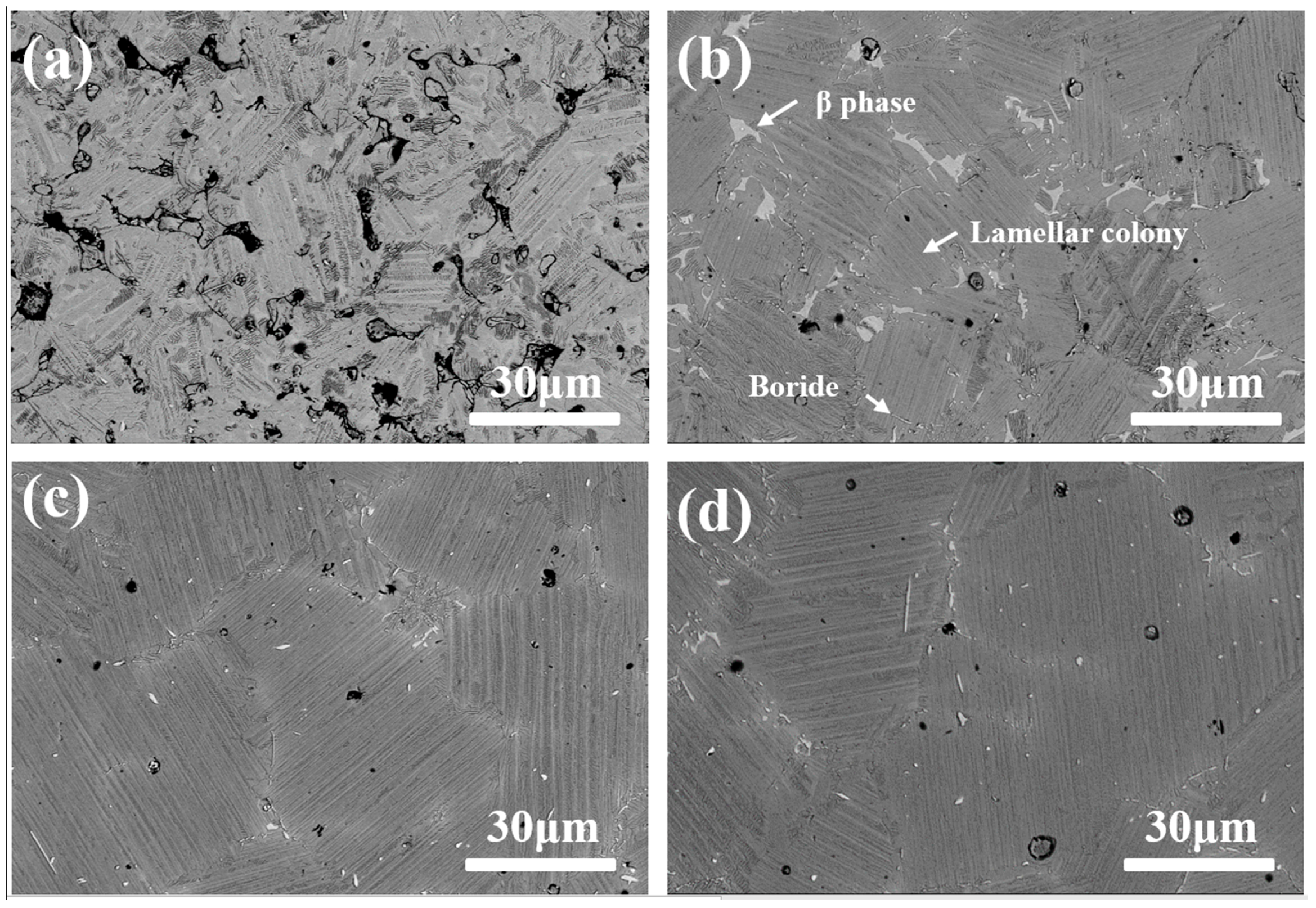 Metals 08 00163 g006