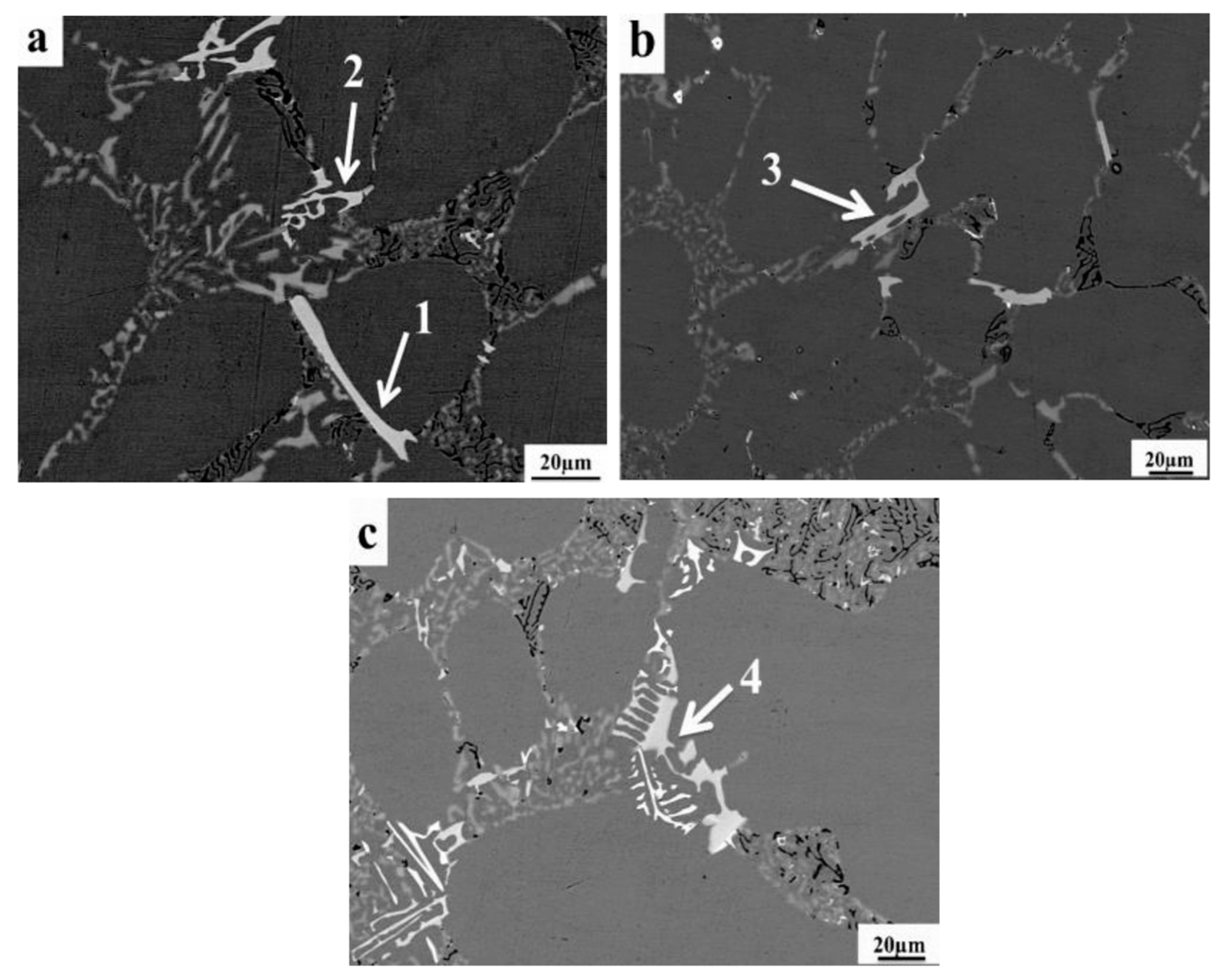 Metals 08 00194 g001