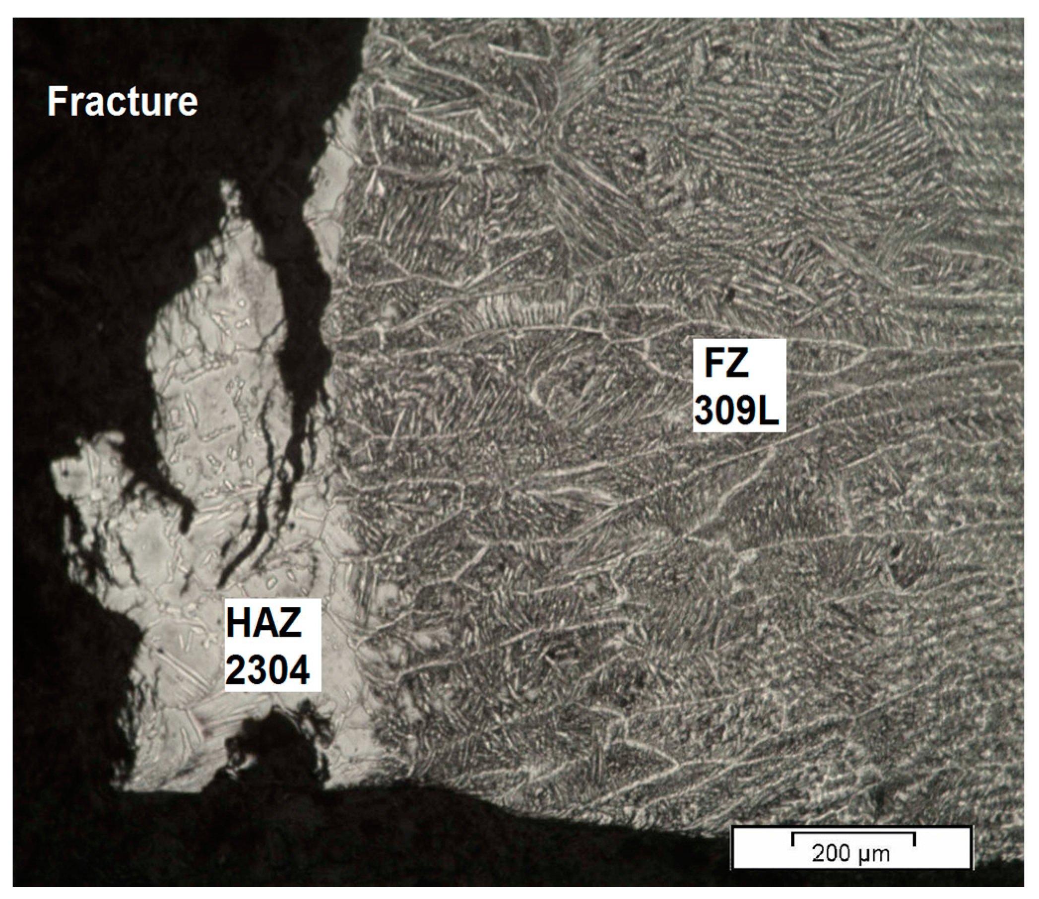 Metals 08 00195 g002