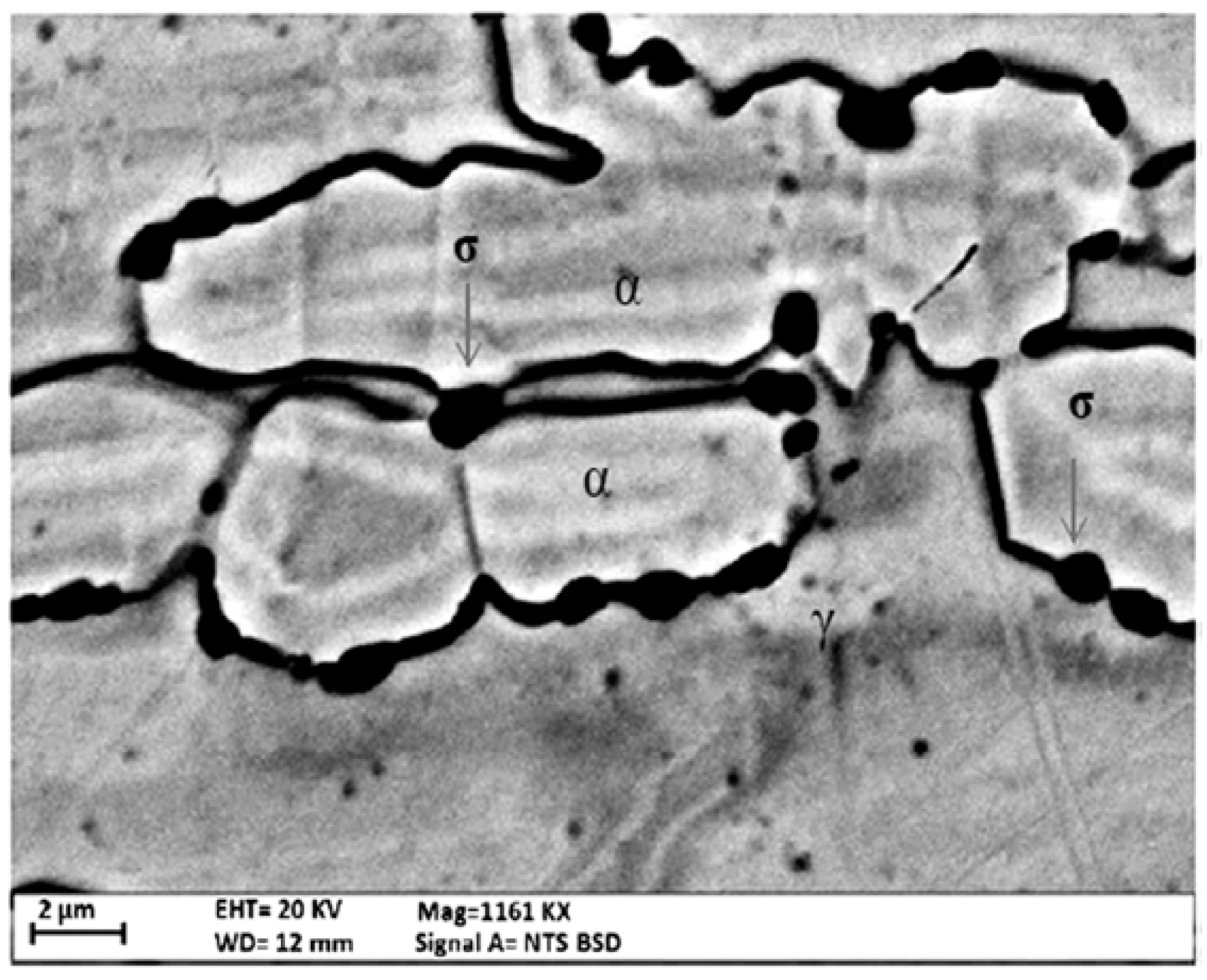 Metals 08 00195 g005