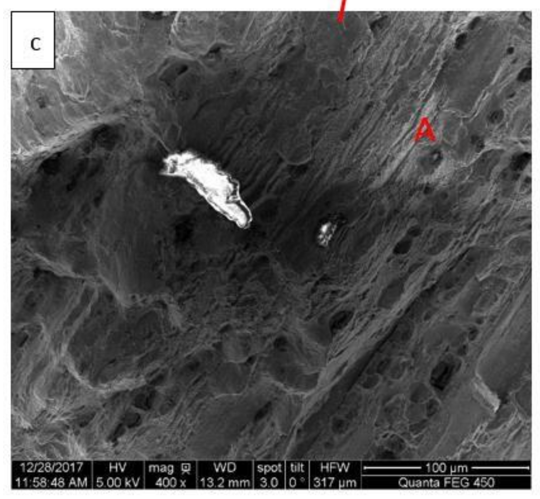 Metals 08 00210 g002b