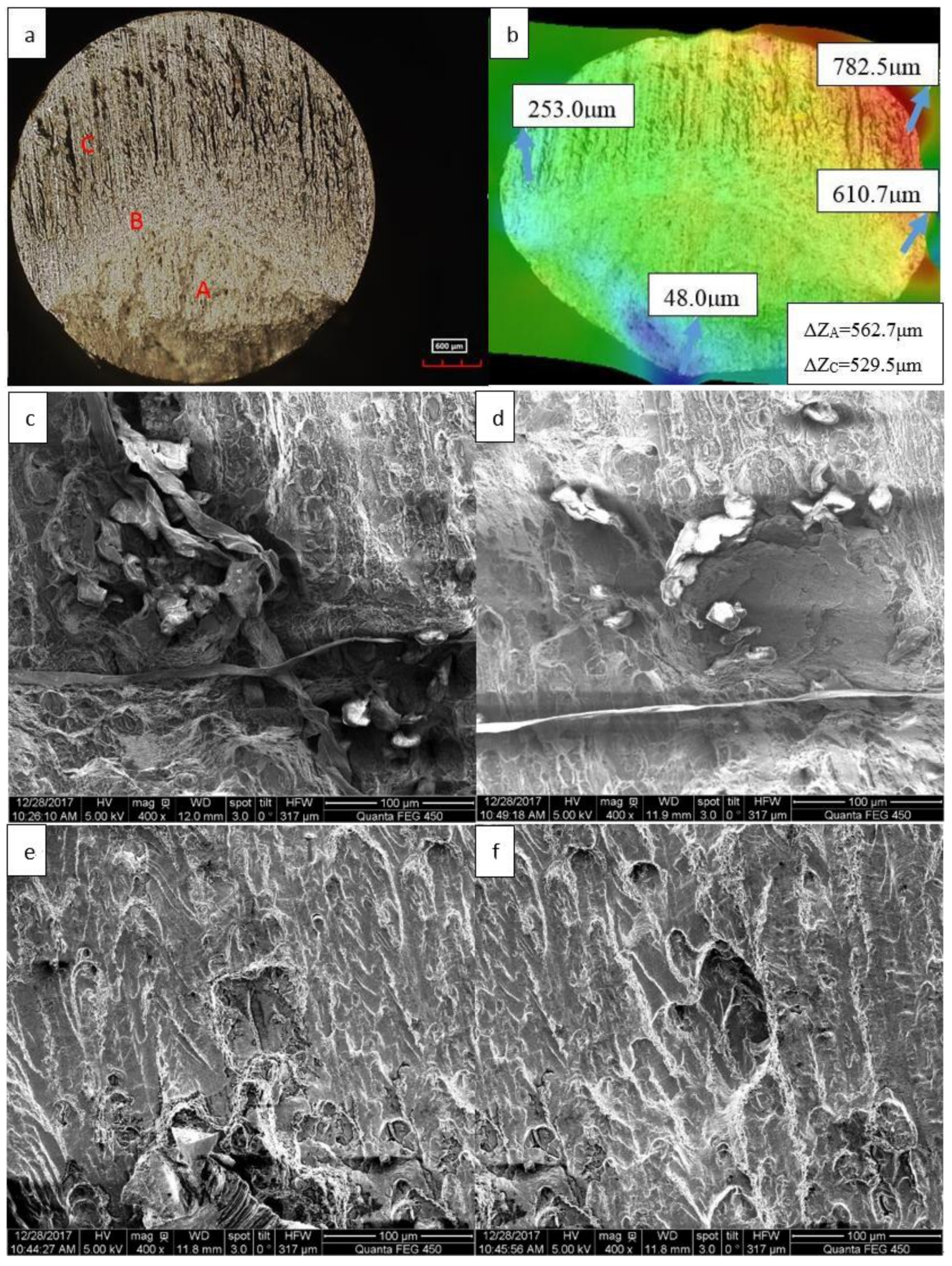 Metals 08 00210 g007