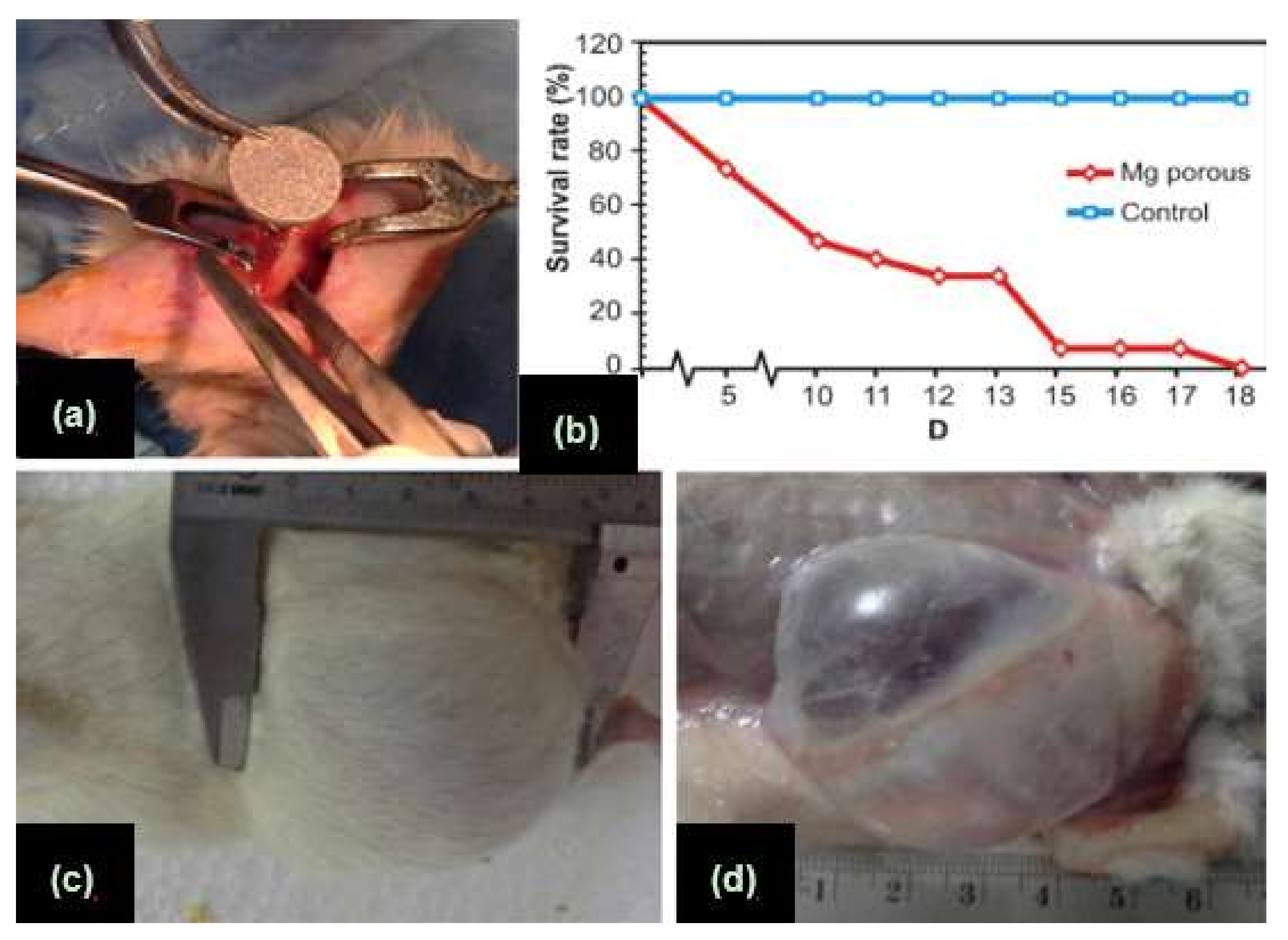 Metals 08 00212 g002