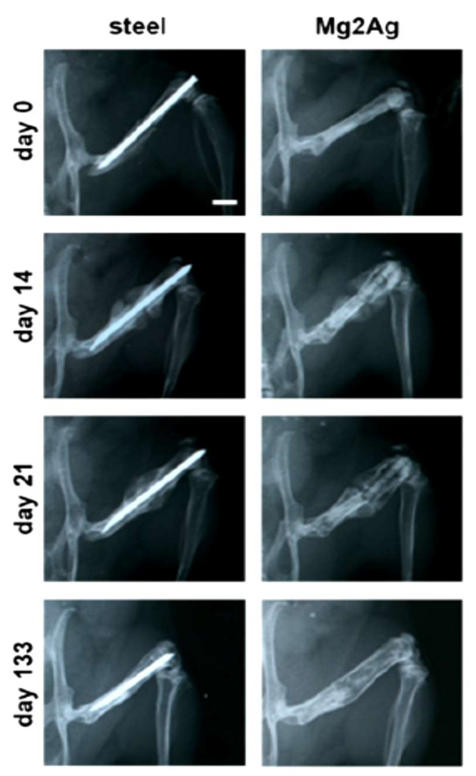 Metals 08 00212 g006