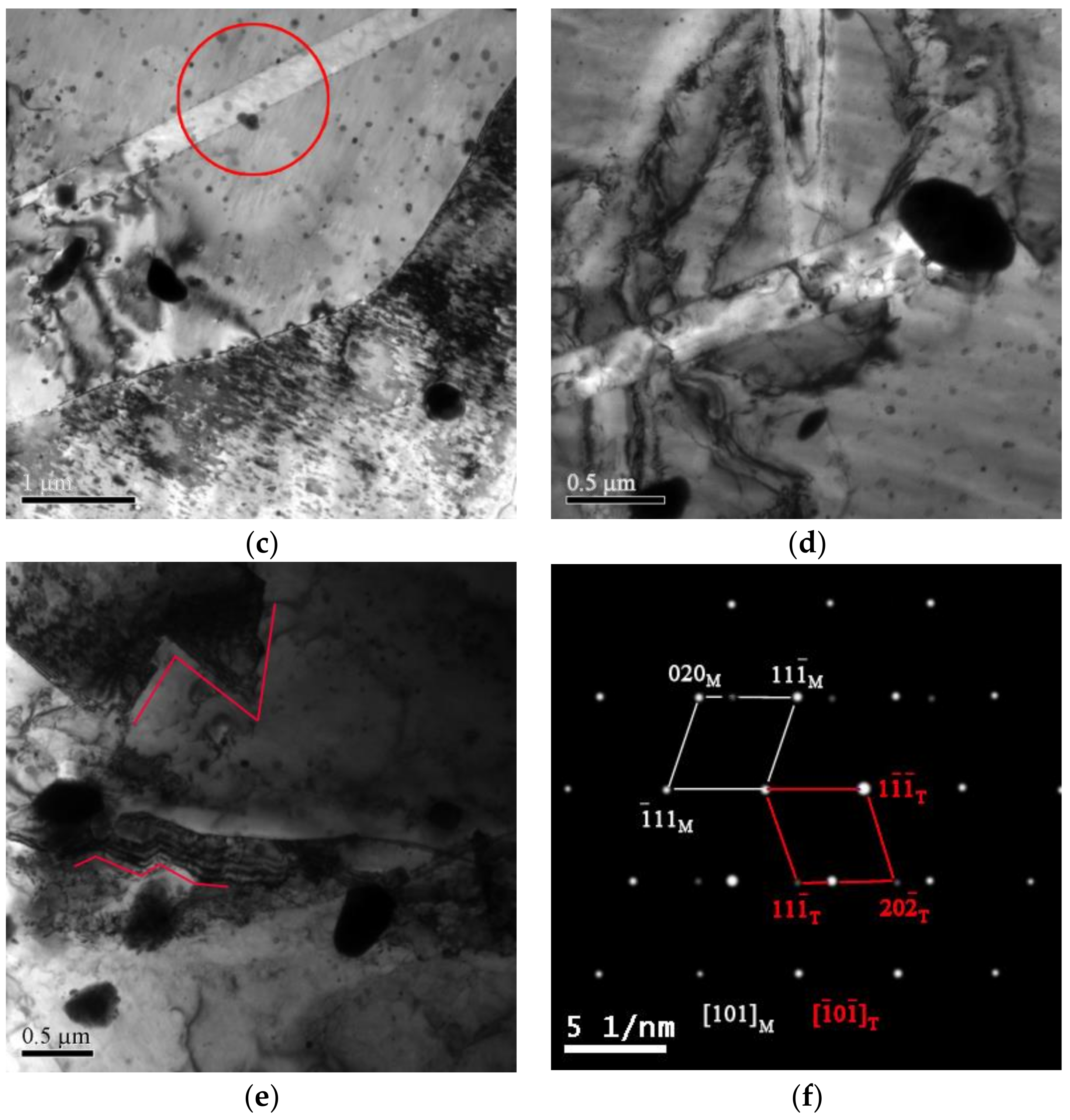 Metals 08 00227 g007b