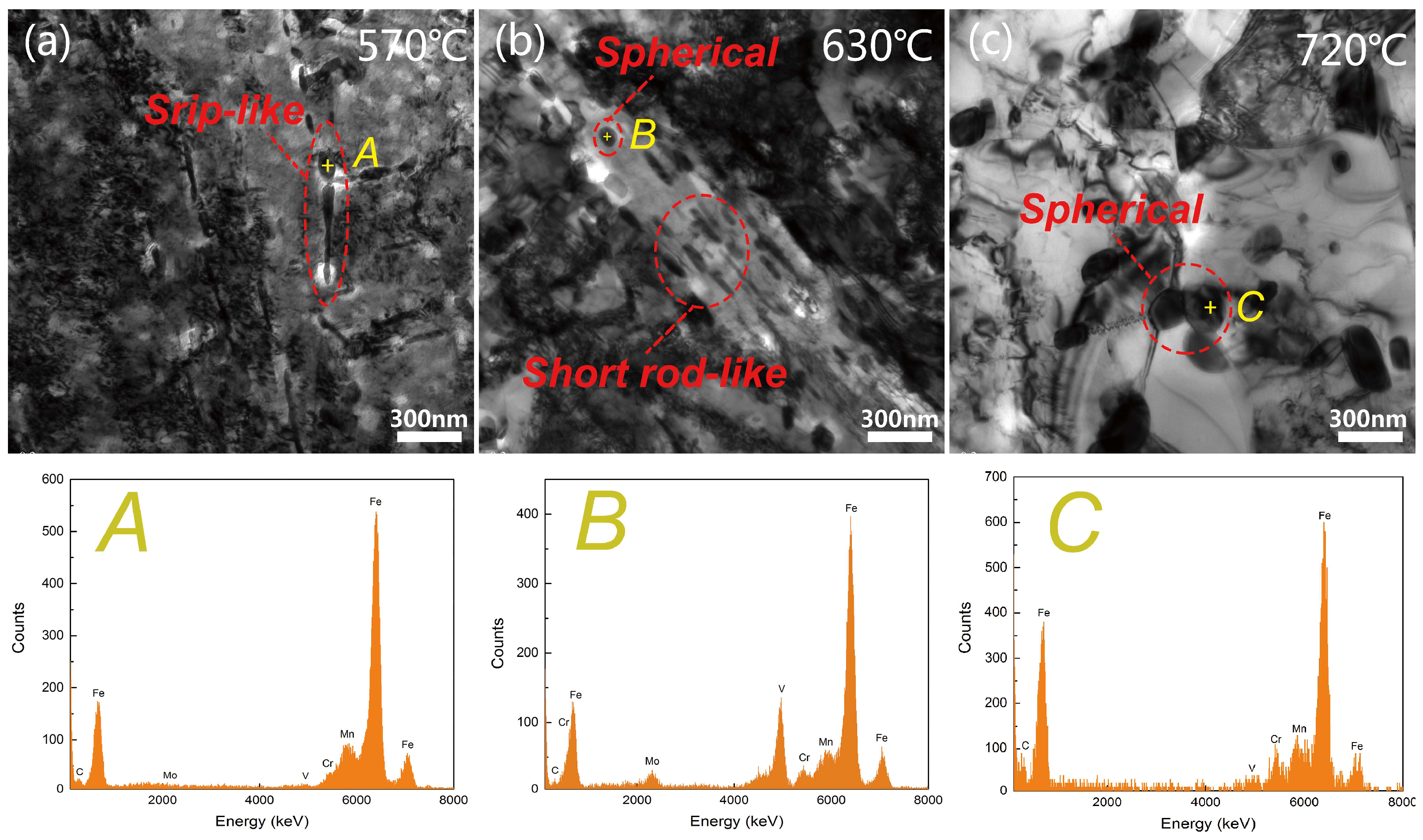 Metals 08 00232 g004