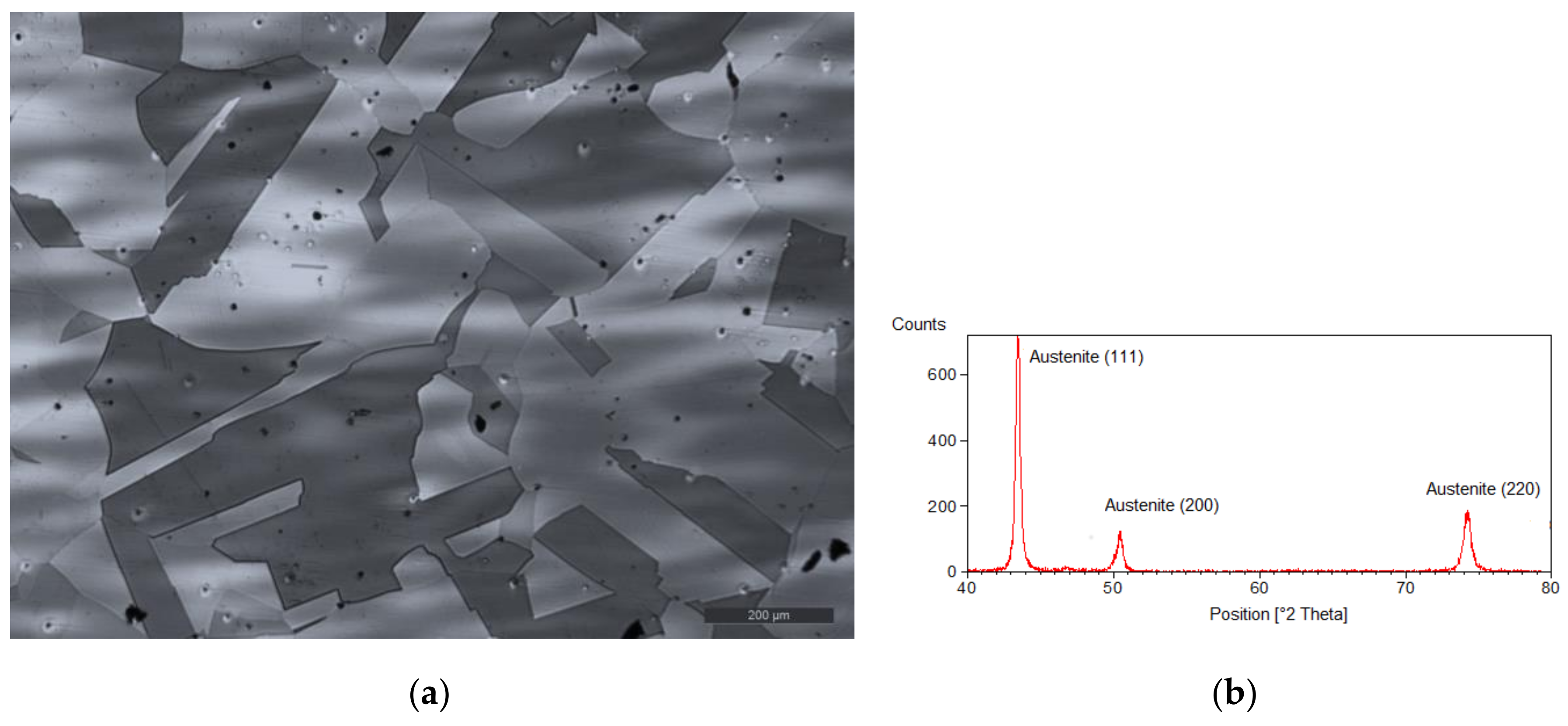 Metals 08 00262 g001