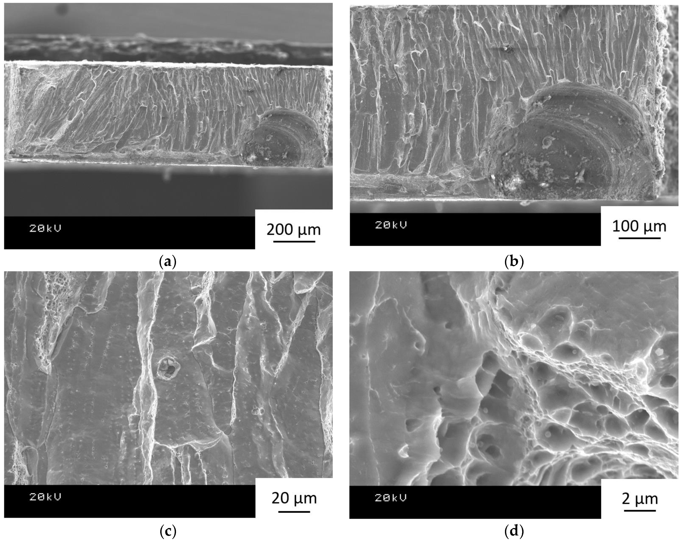 Metals 08 00263 g013