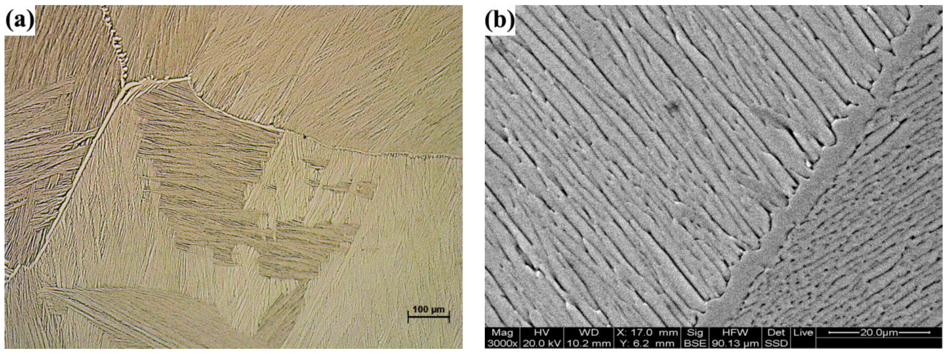 Metals 08 00270 g003a